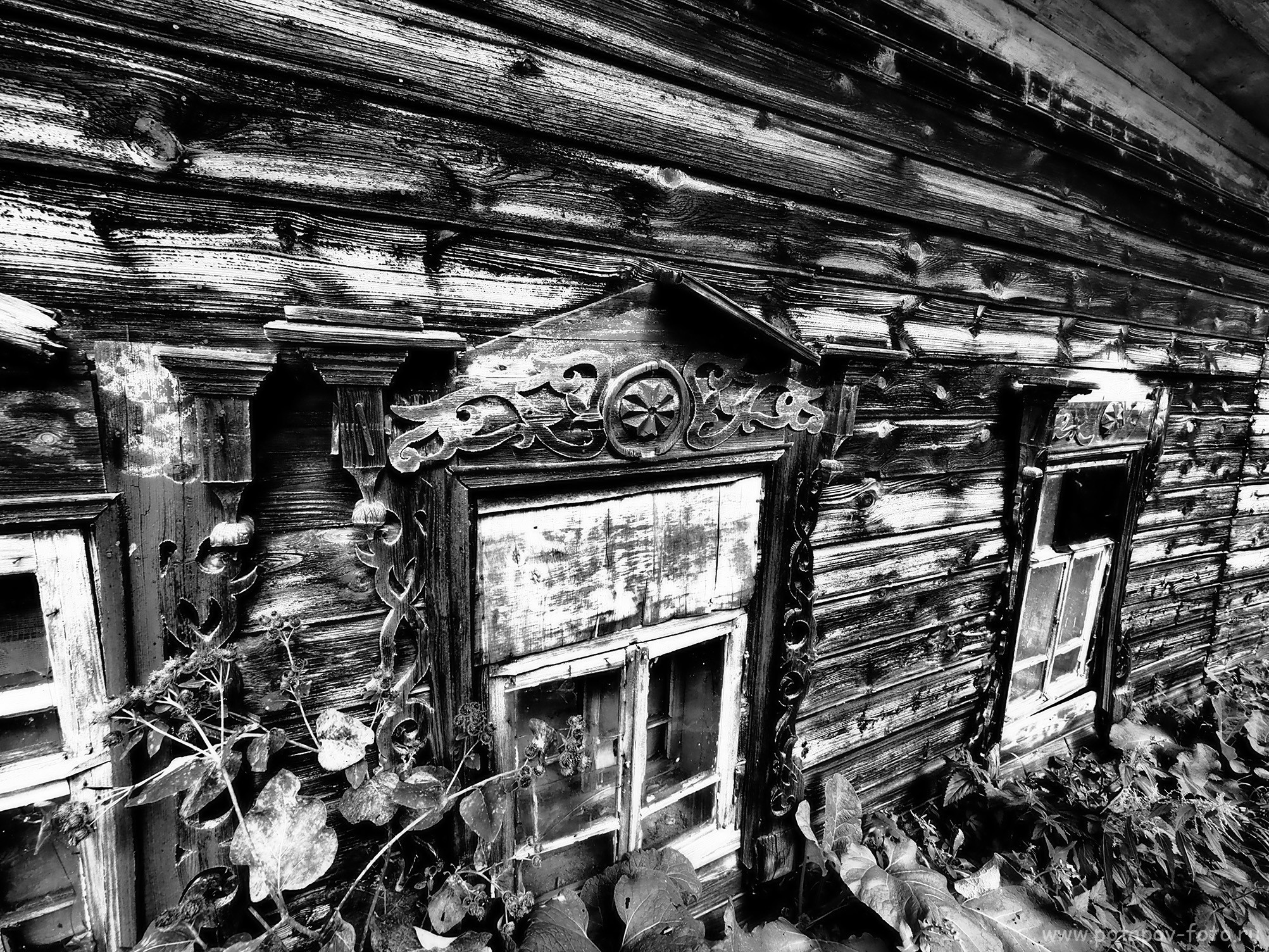 Переславль Залесский и его окрестности. Часть I (2019–2021 гг.). Московский фотограф Дмитрий Потапов