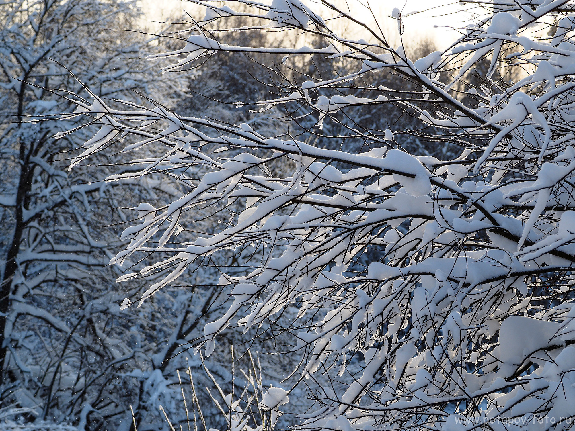 Хотьково — Сергиев Посад — Переславль Залесский. Декабрь 2021 года. Московский фотограф Дмитрий Потапов