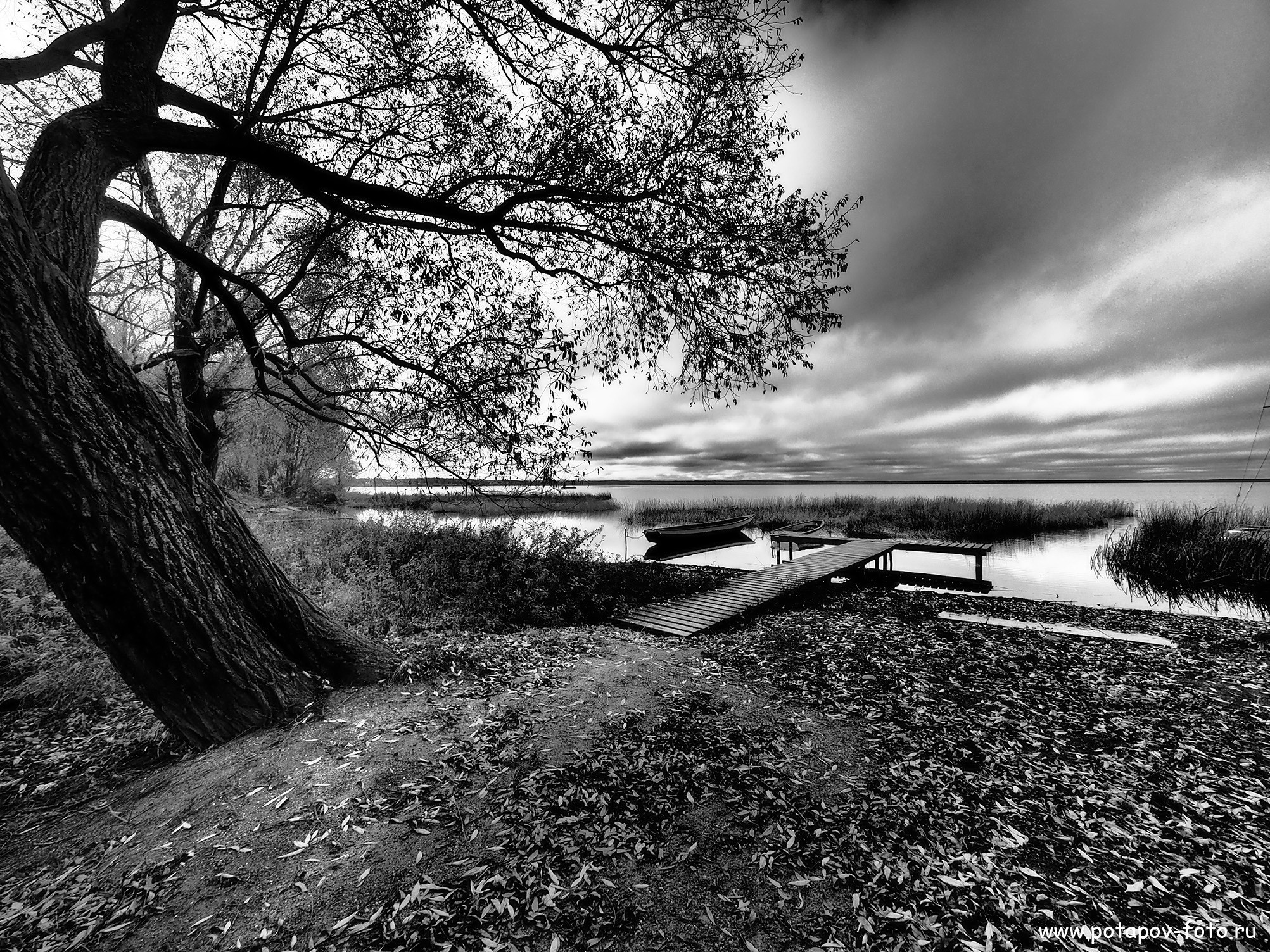 Переславль Залесский и его окрестности. Часть I (2019–2021 гг.). Московский фотограф Дмитрий Потапов