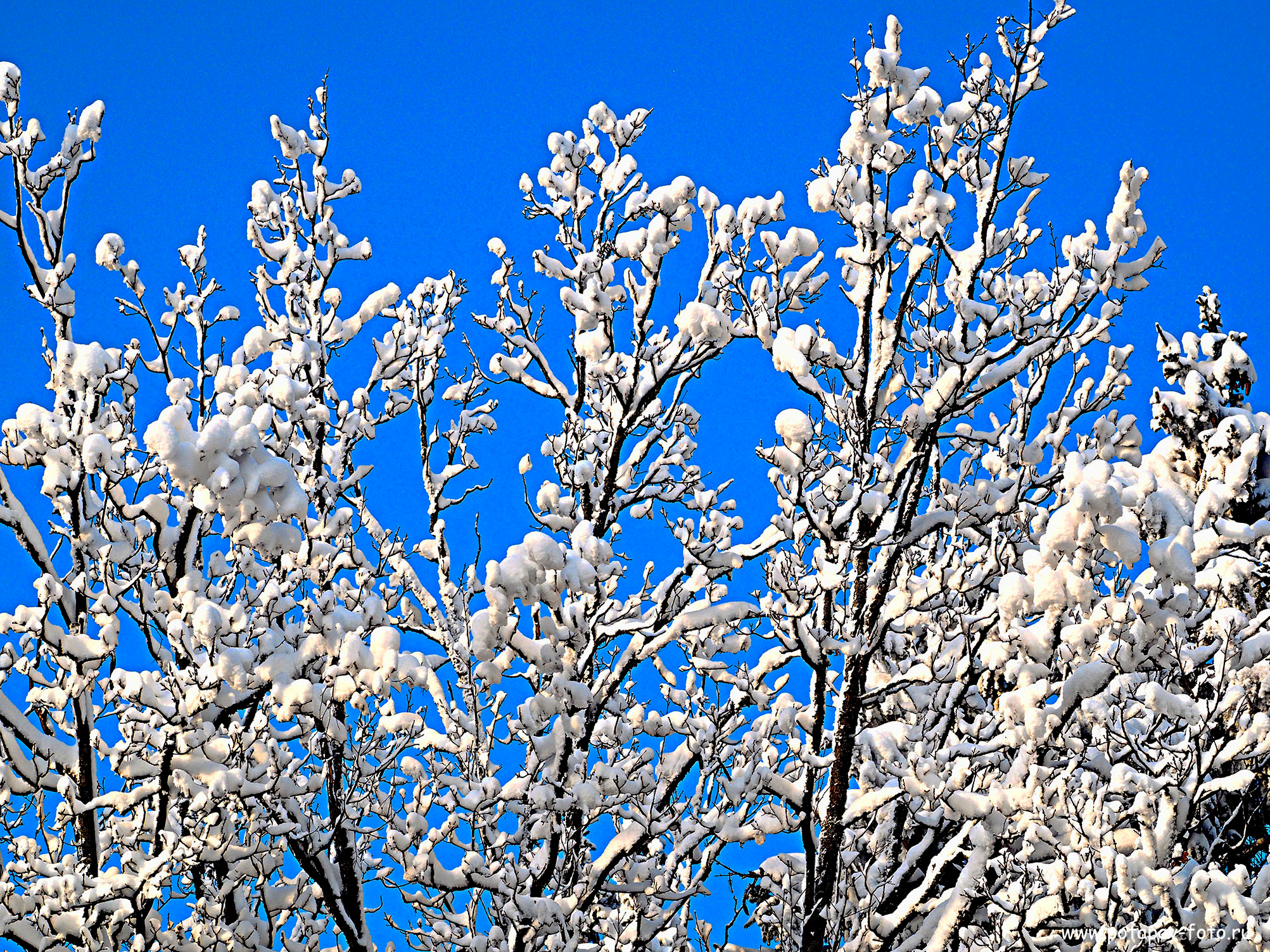 Хотьково — Сергиев Посад — Переславль Залесский. Декабрь 2021 года. Московский фотограф Дмитрий Потапов