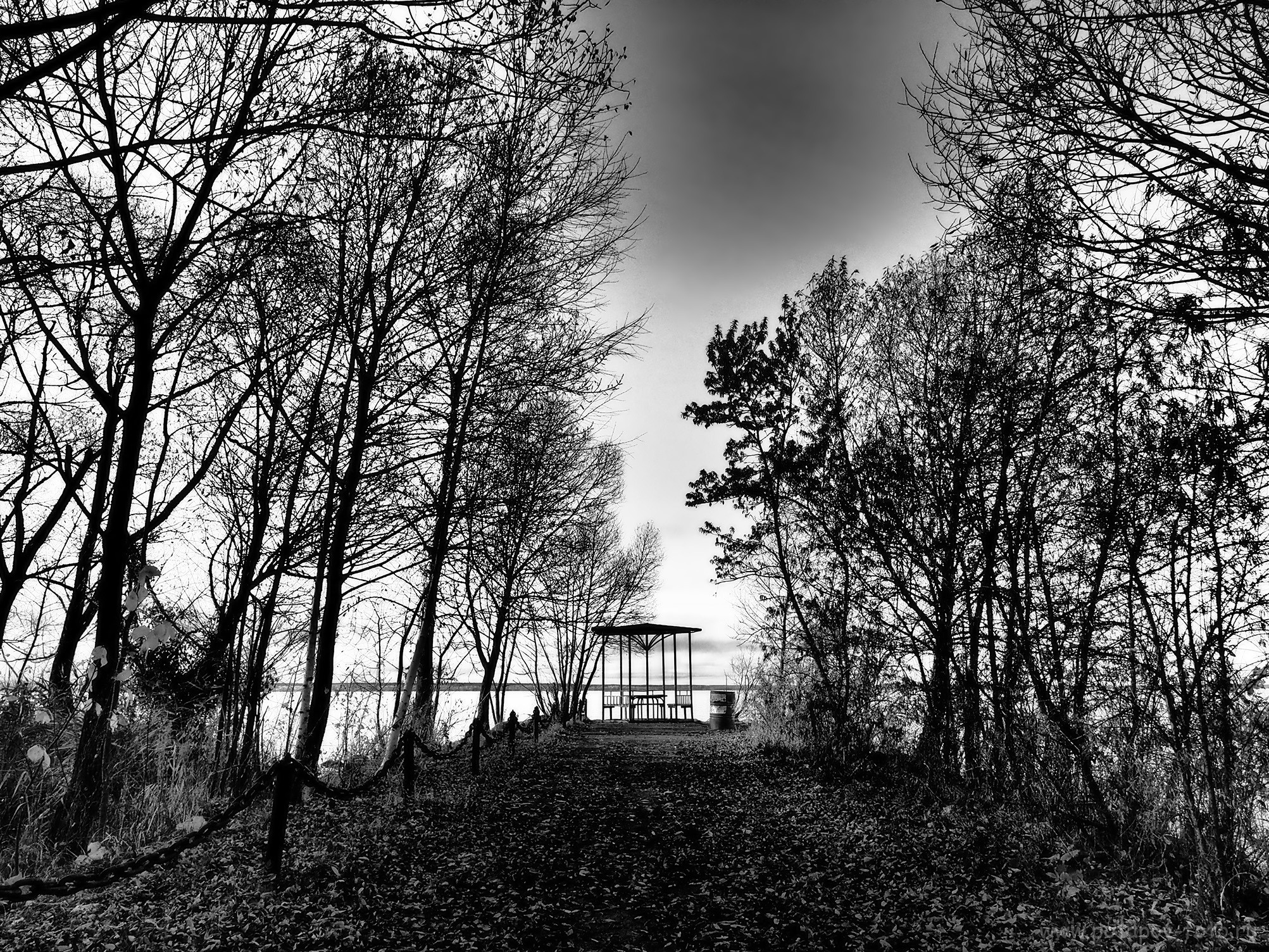 Переславль Залесский и его окрестности. Часть I (2019–2021 гг.). Московский фотограф Дмитрий Потапов