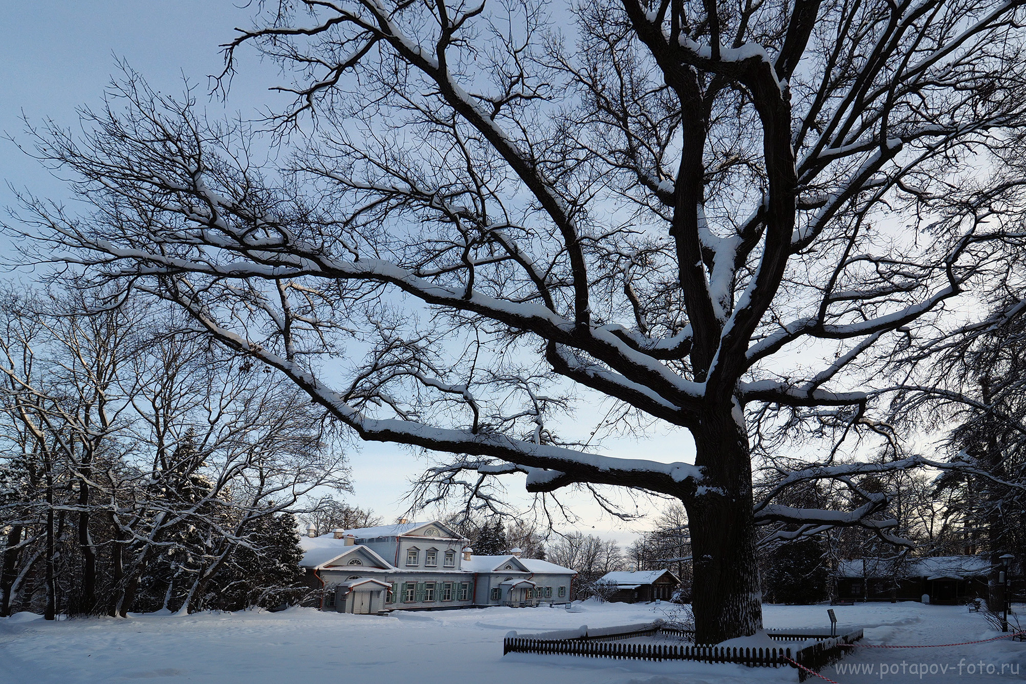Хотьково — Сергиев Посад — Переславль Залесский. Декабрь 2021 года. Московский фотограф Дмитрий Потапов