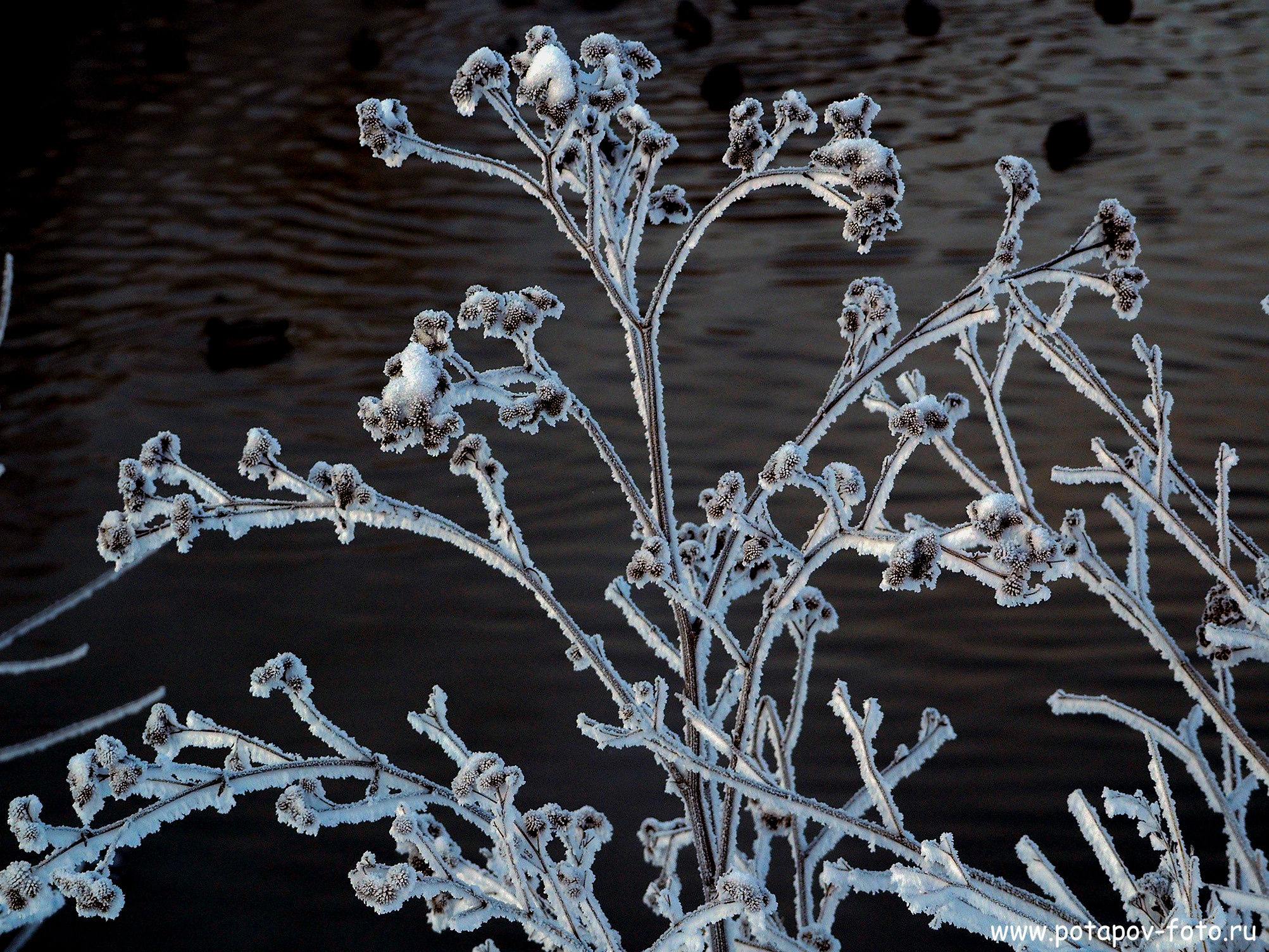 Хотьково — Сергиев Посад — Переславль Залесский. Декабрь 2021 года. Московский фотограф Дмитрий Потапов