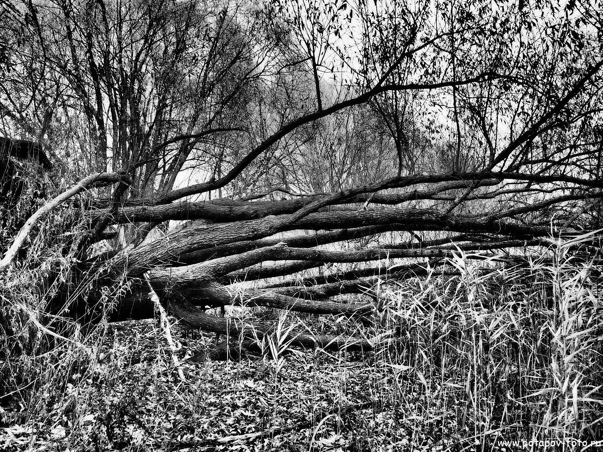 Переславль Залесский и его окрестности. Часть I (2019–2021 гг.). Московский фотограф Дмитрий Потапов