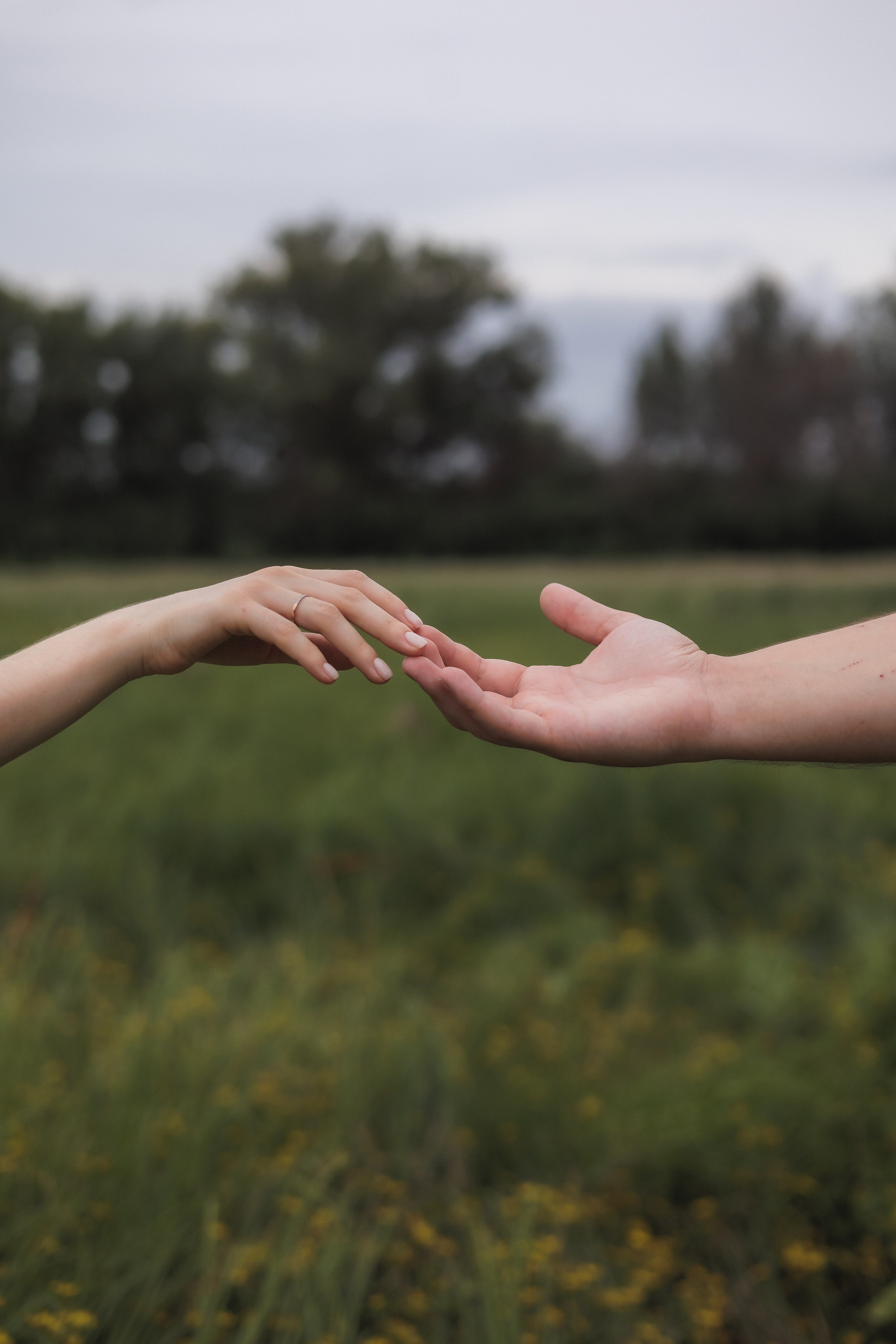 Очень кошачья Лавстори. Фотограф в Волгограде — Александра Искандерова
