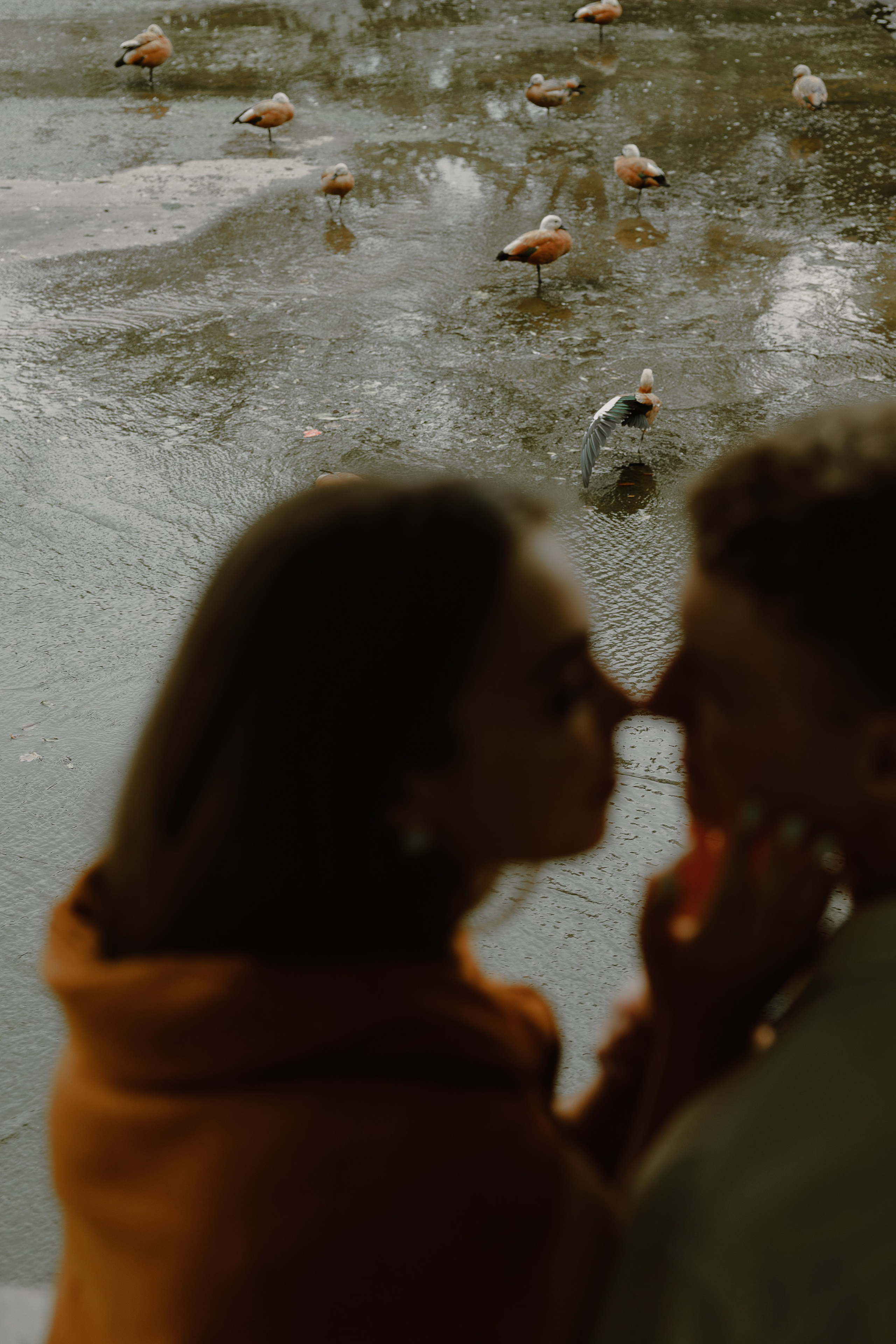 Вадим и Мария. Фотограф Москва