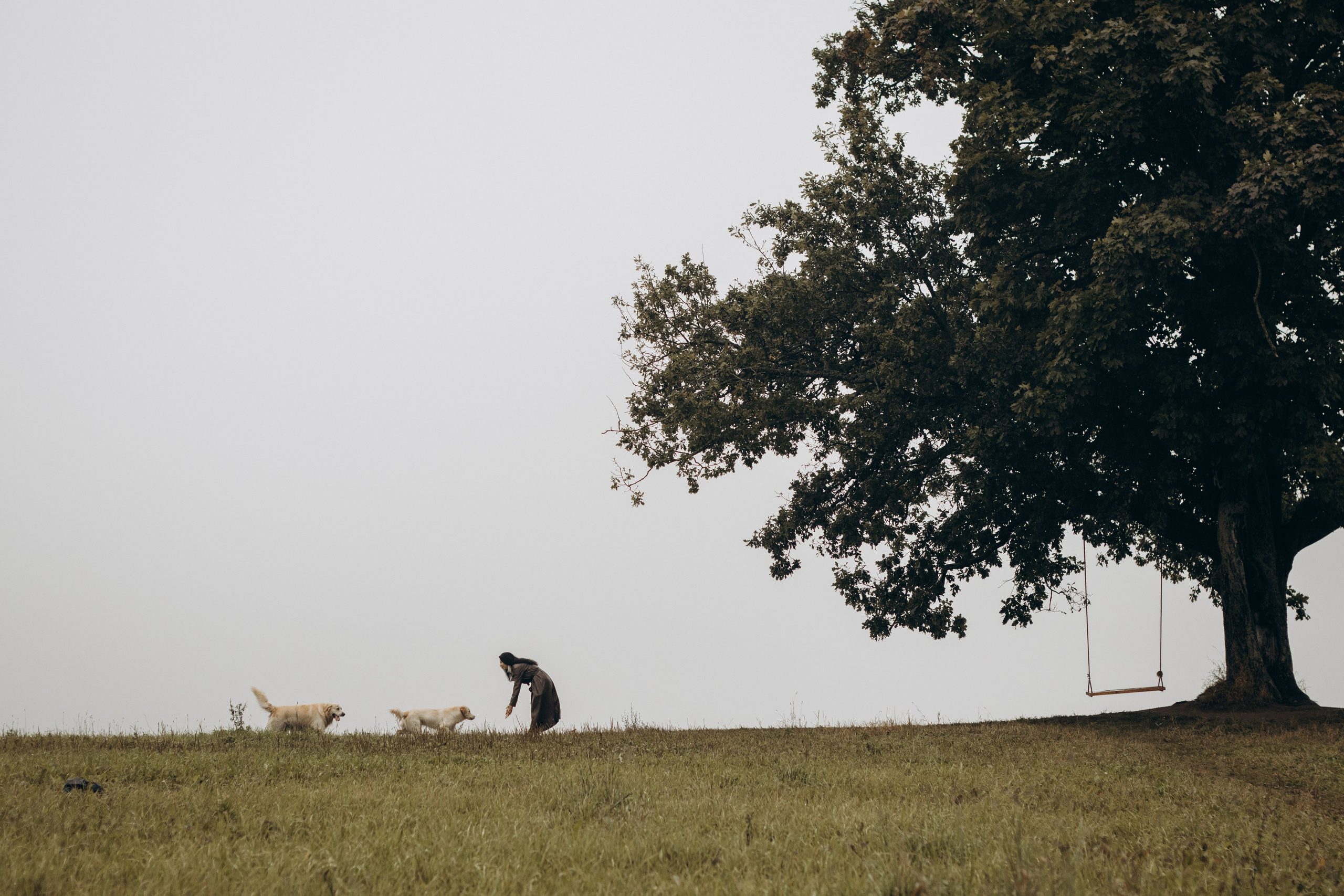 Фотограф-анималист в Санкт-Петербурге
