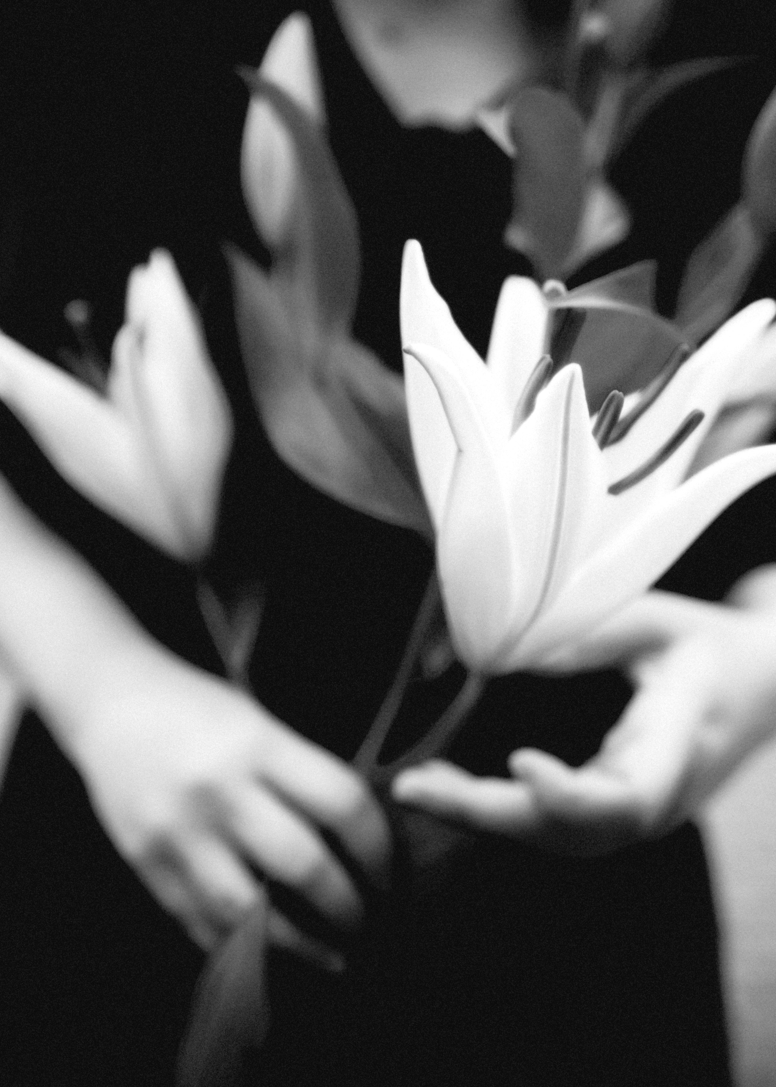 Оля. SHILOVA PHOTO. Шилова Екатерина. Фотограф. Москва