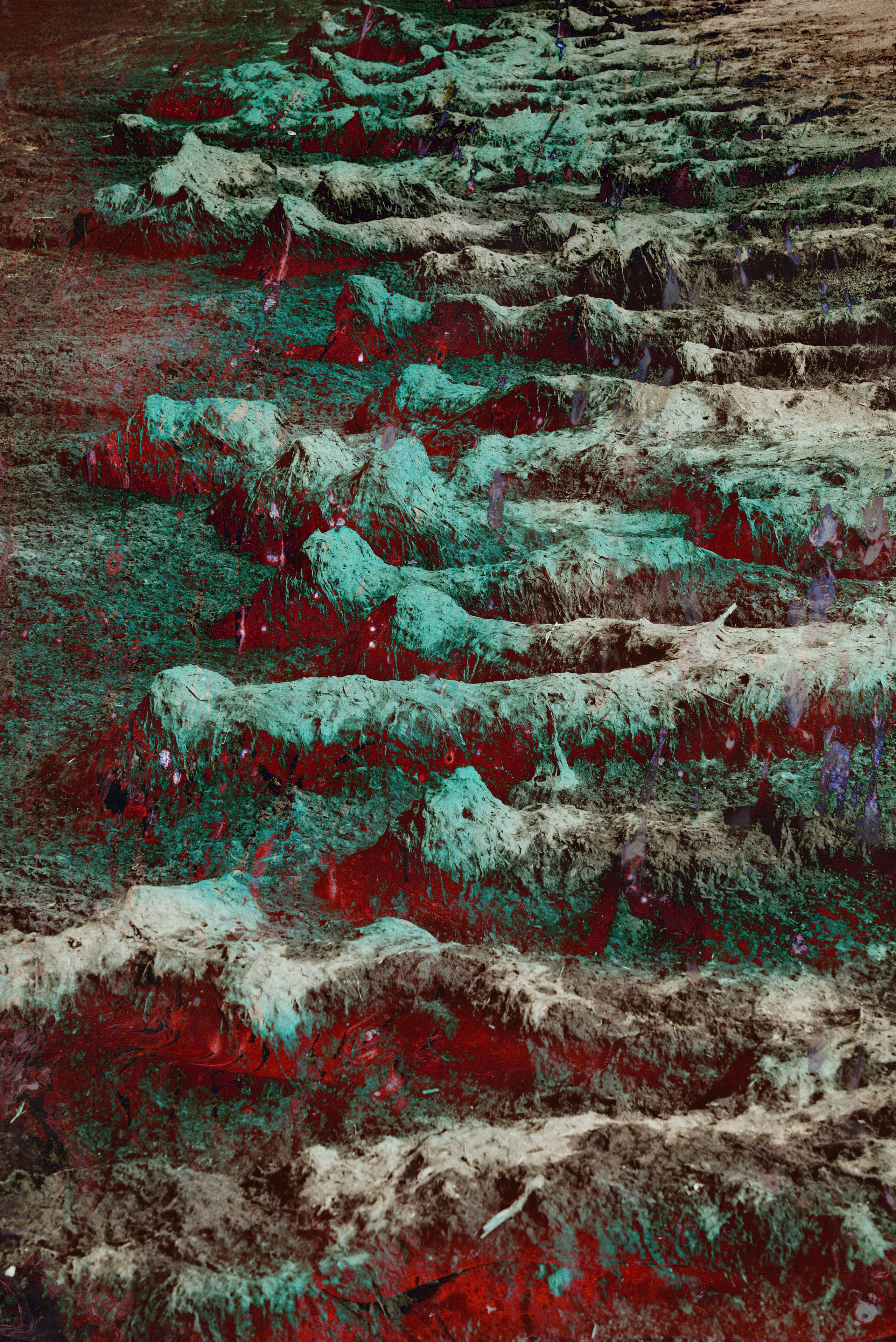 Фантасмагория. Мари Линёк-Стельмах Фотохудожник Санкт-Петербург/Урал