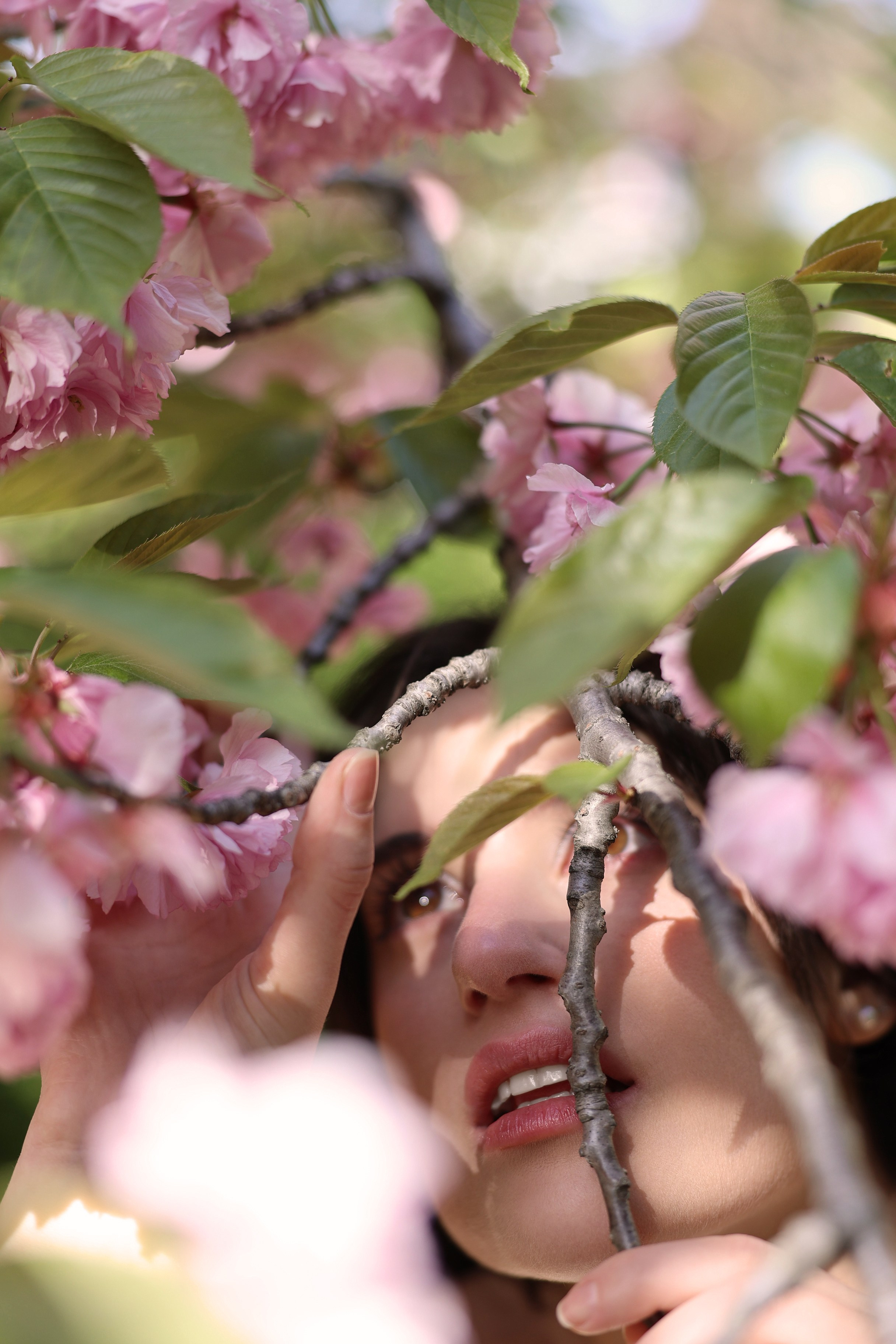Busan Photographer. Photographer in Busan | Royal Cherry Blossom Solo Photoshoot
