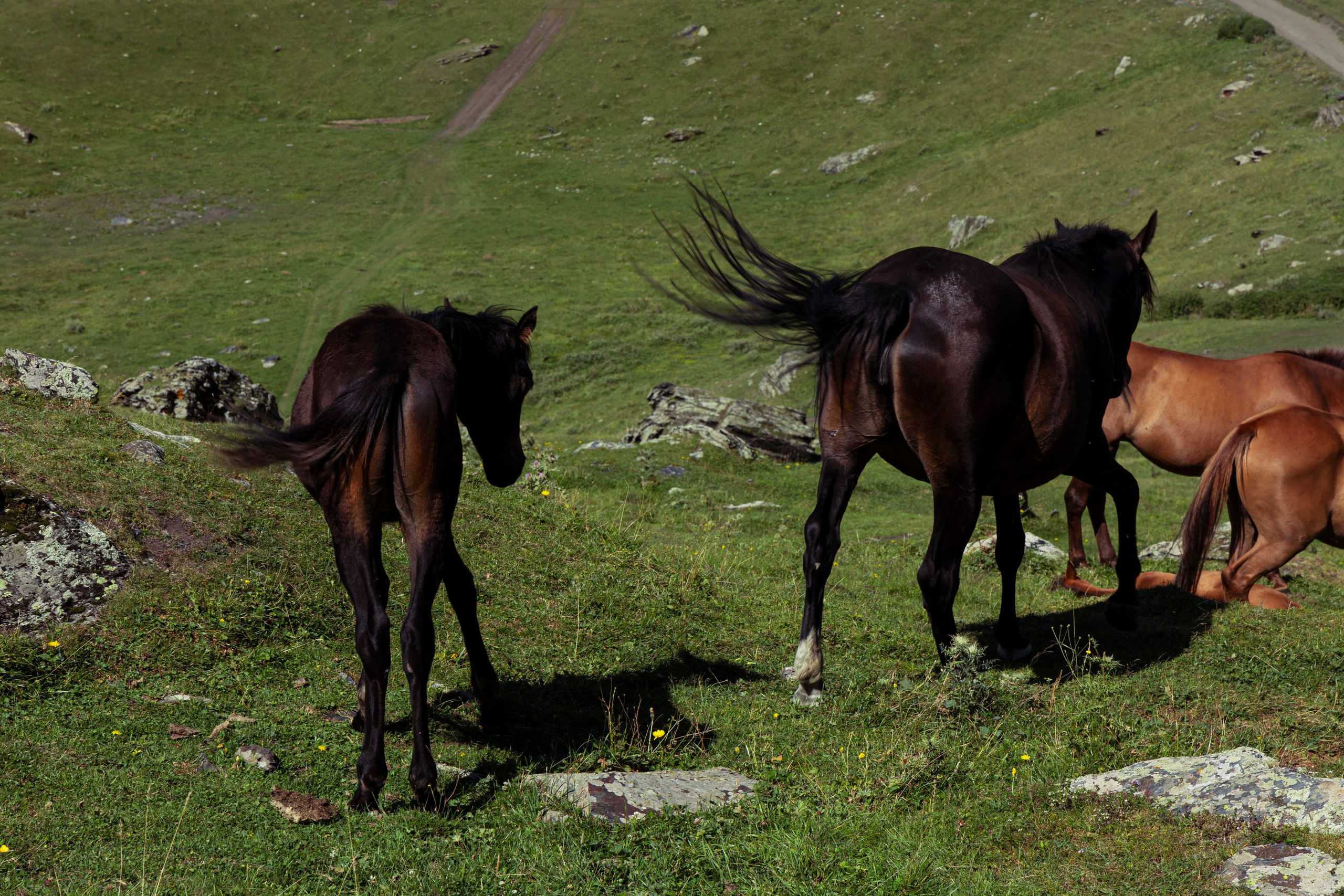 Travel photography. XVVIO PHOTOGRAPHY