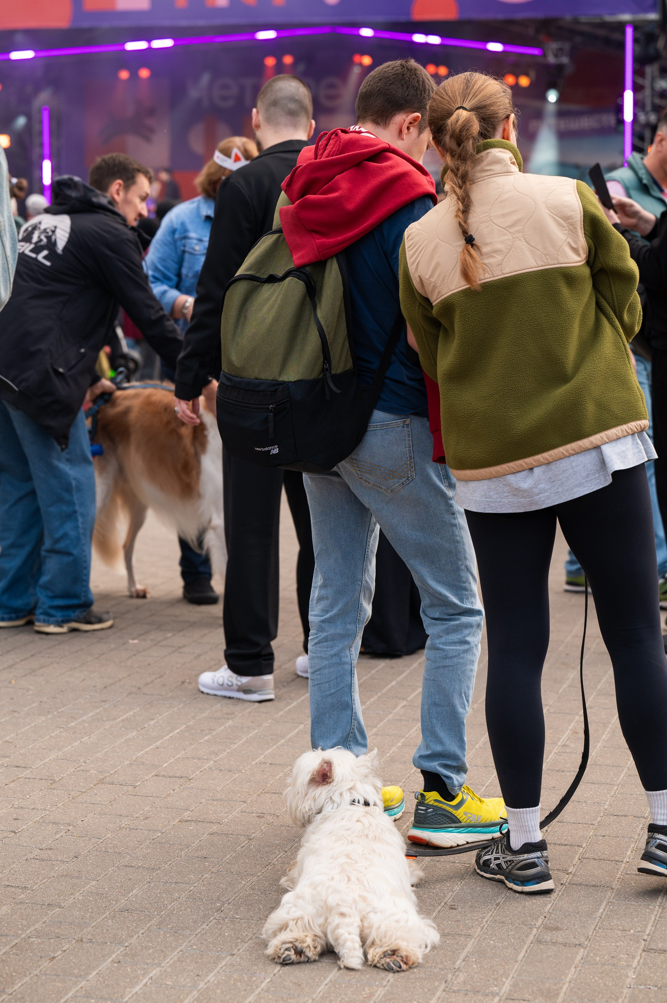 4lapy fest 2025. Photographer in Moscow Anna Chistiakova