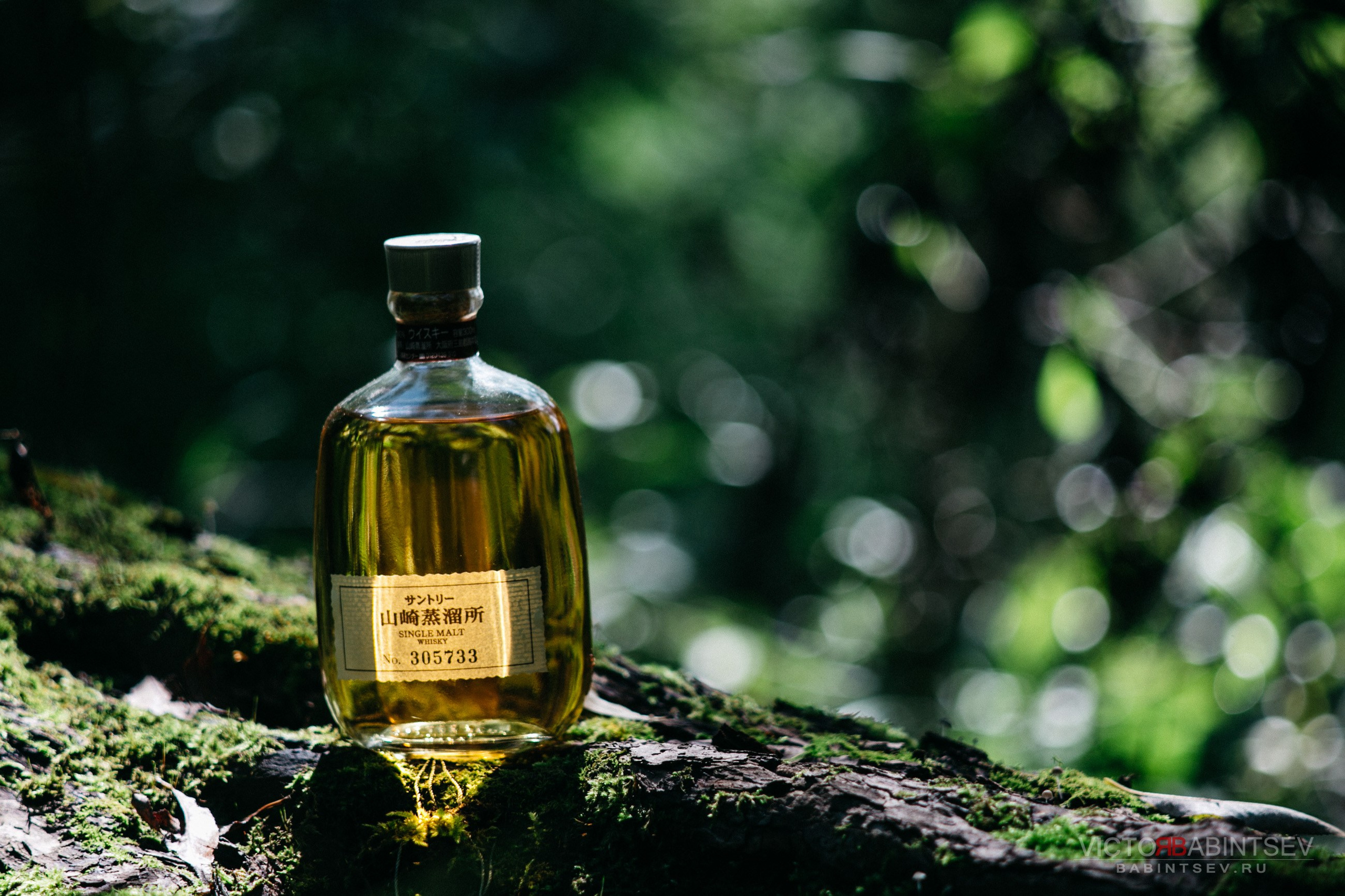 Whisky. Семейный и репортажной фотограф в Красноярске и Москве Виктор Бабинцев