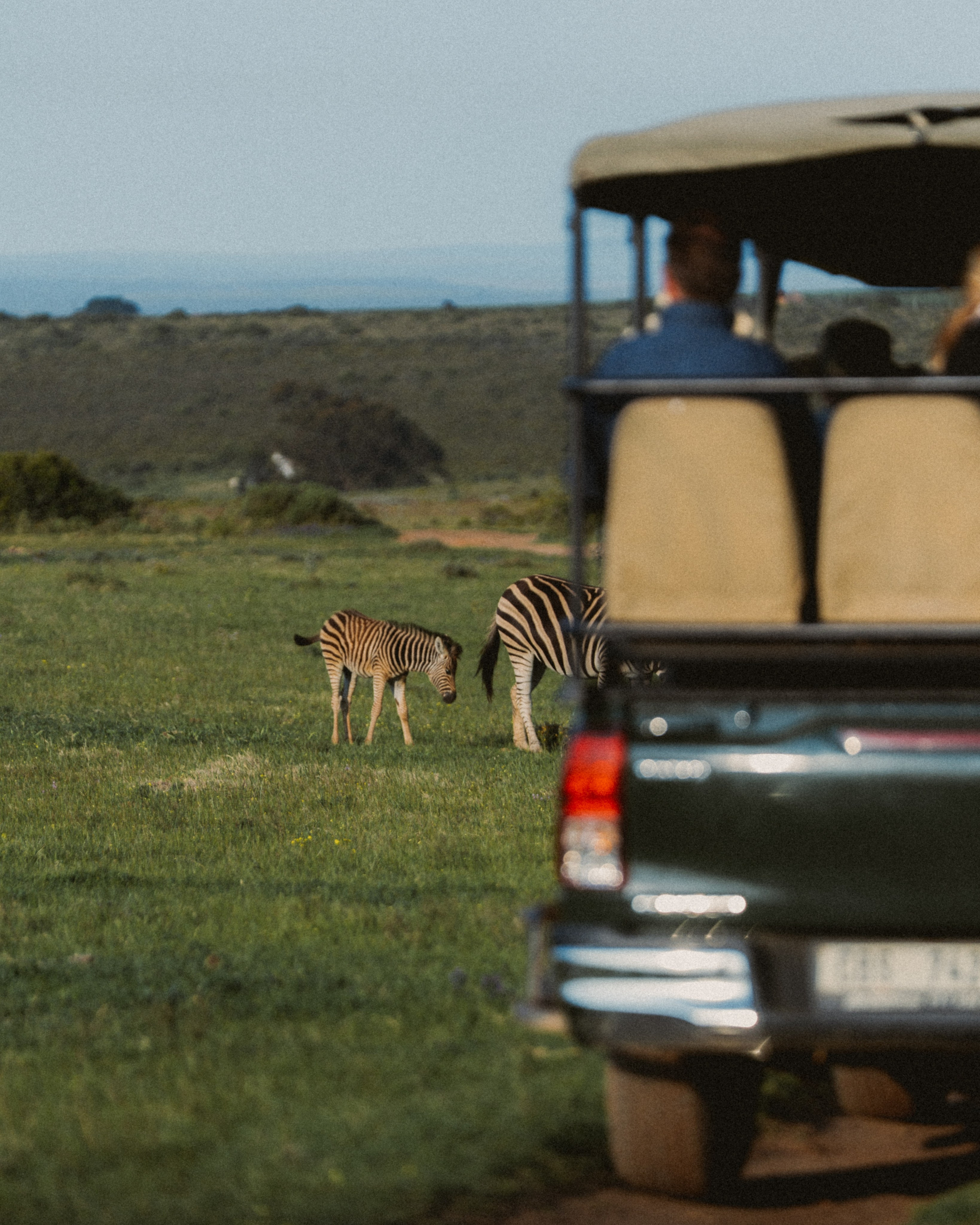 Africa/UAR. @oljiofilm: Олег Иванов — фотограф