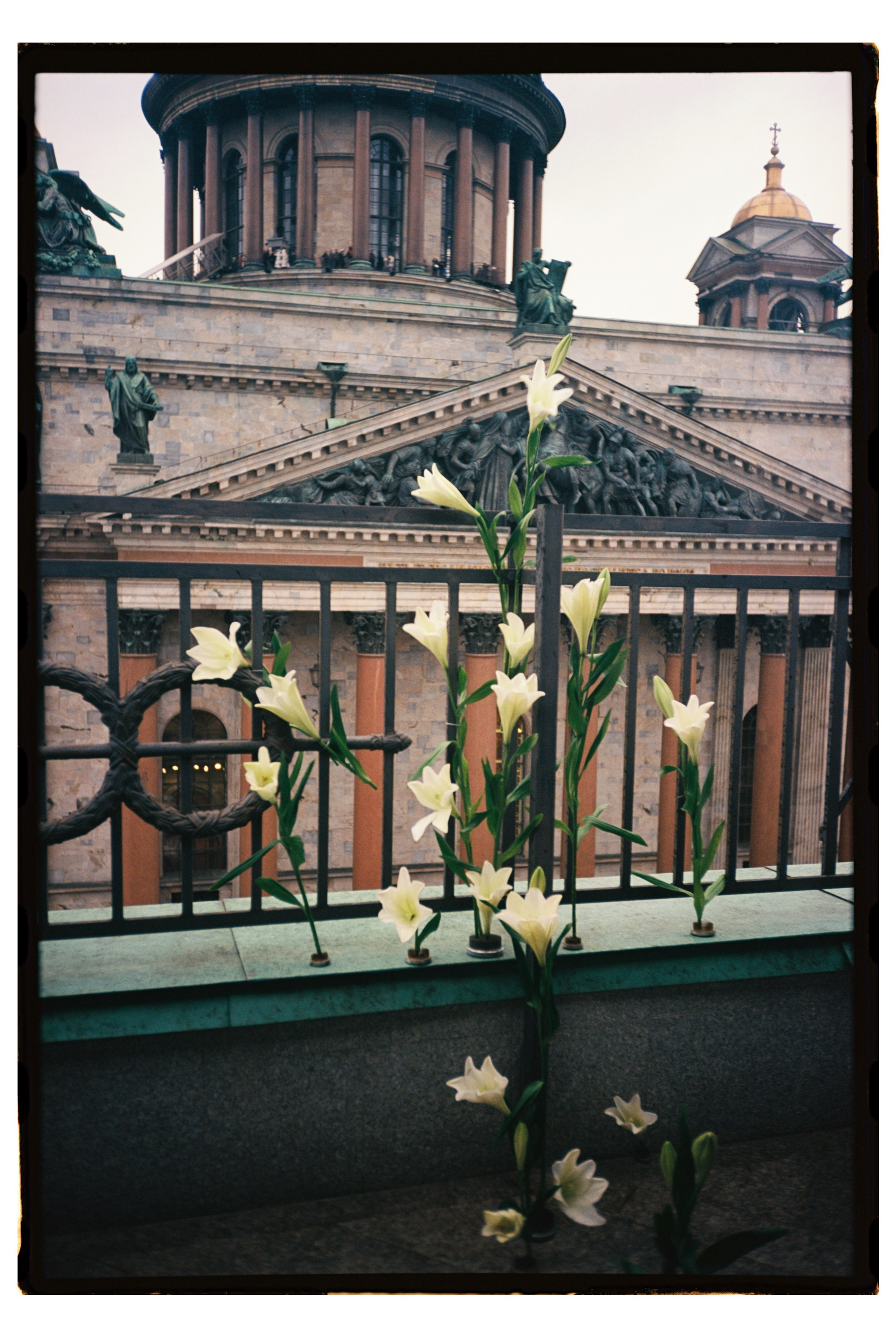 Фото на плёнку. Вера Пьянцева семейный, свадебный и парный фотограф в Санкт-Петербурге