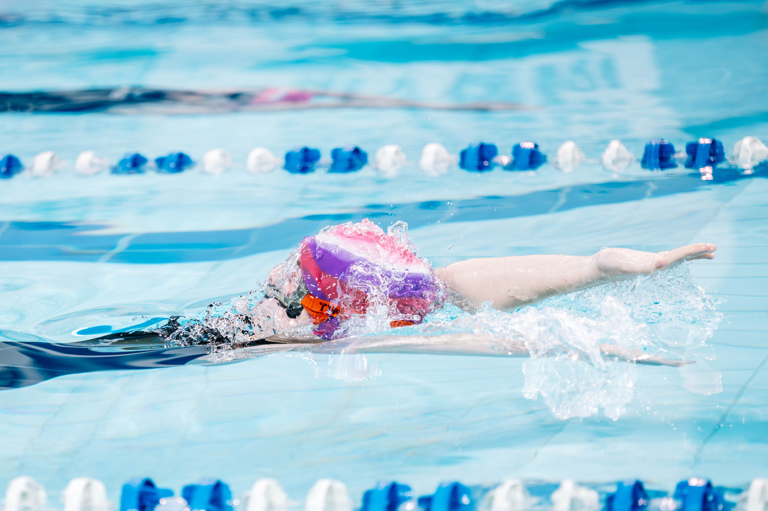 Второй этап кубка плавания ШК Дельфин. Декабрь 2024. Спортивный фотограф в Туле и Тульской области. Файсханова Фото Спорт