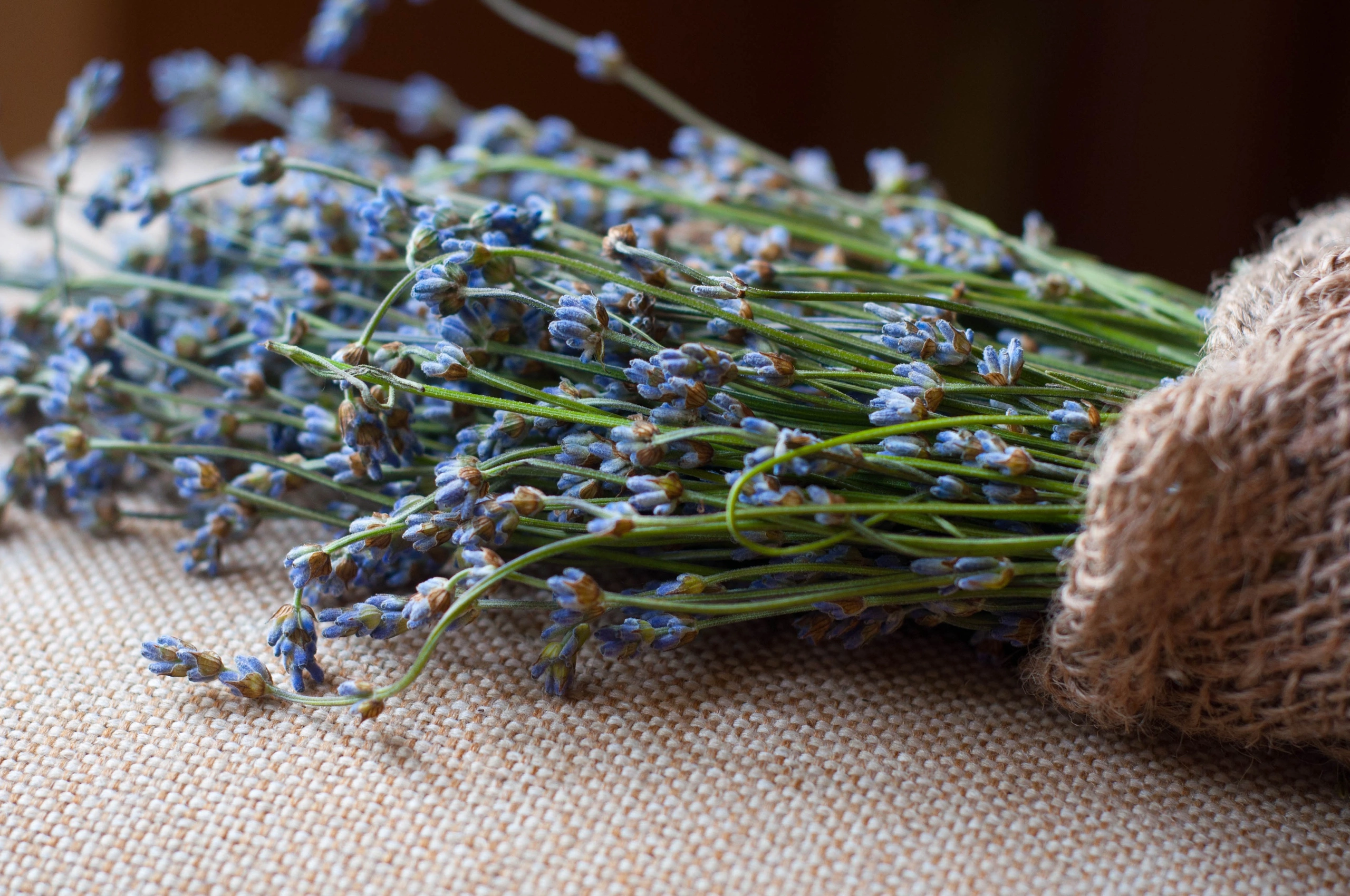 Предметная. Фотограф в Санкт-Петербурге