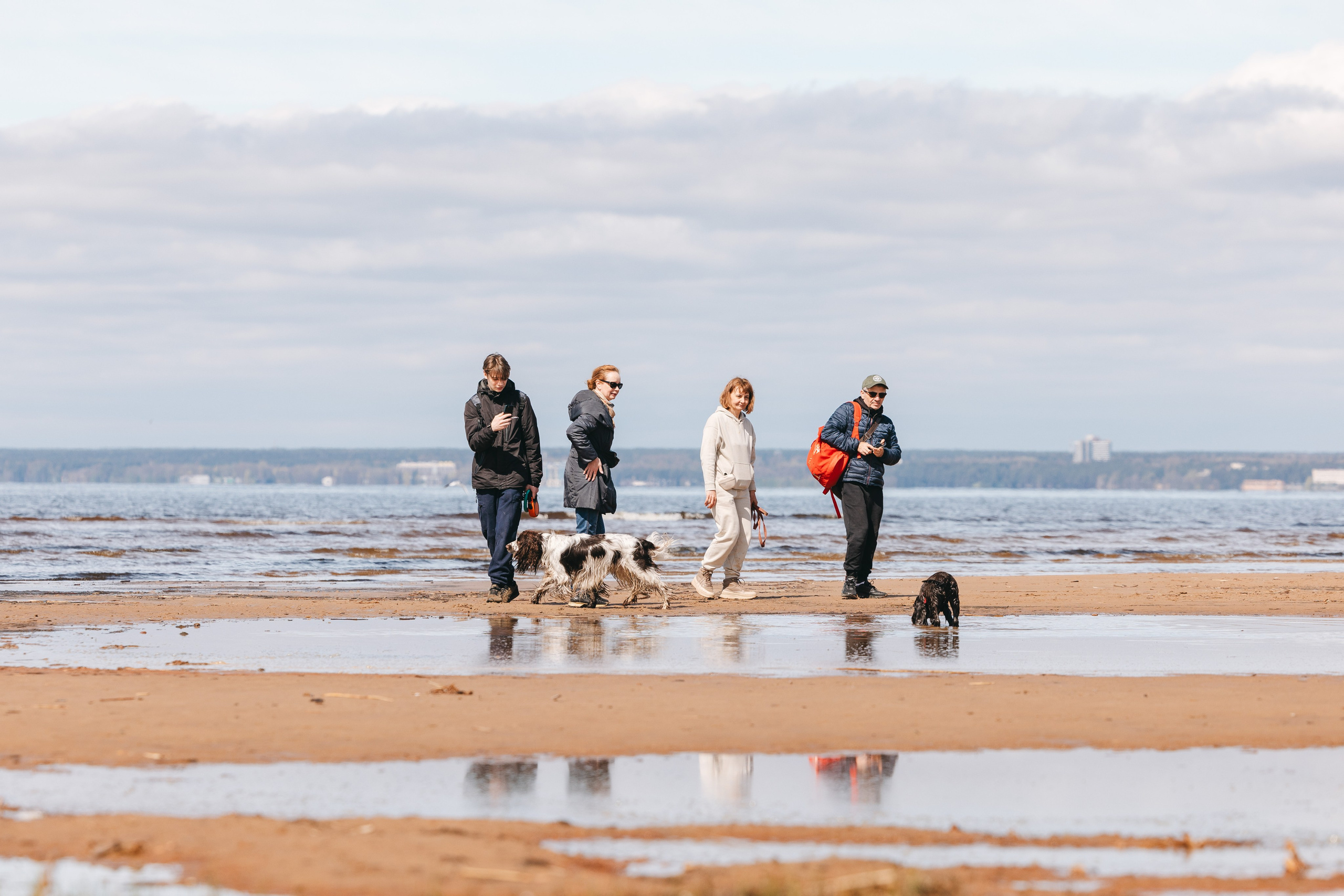 Спанимания. Фотограф анималист Осипчикова Мария