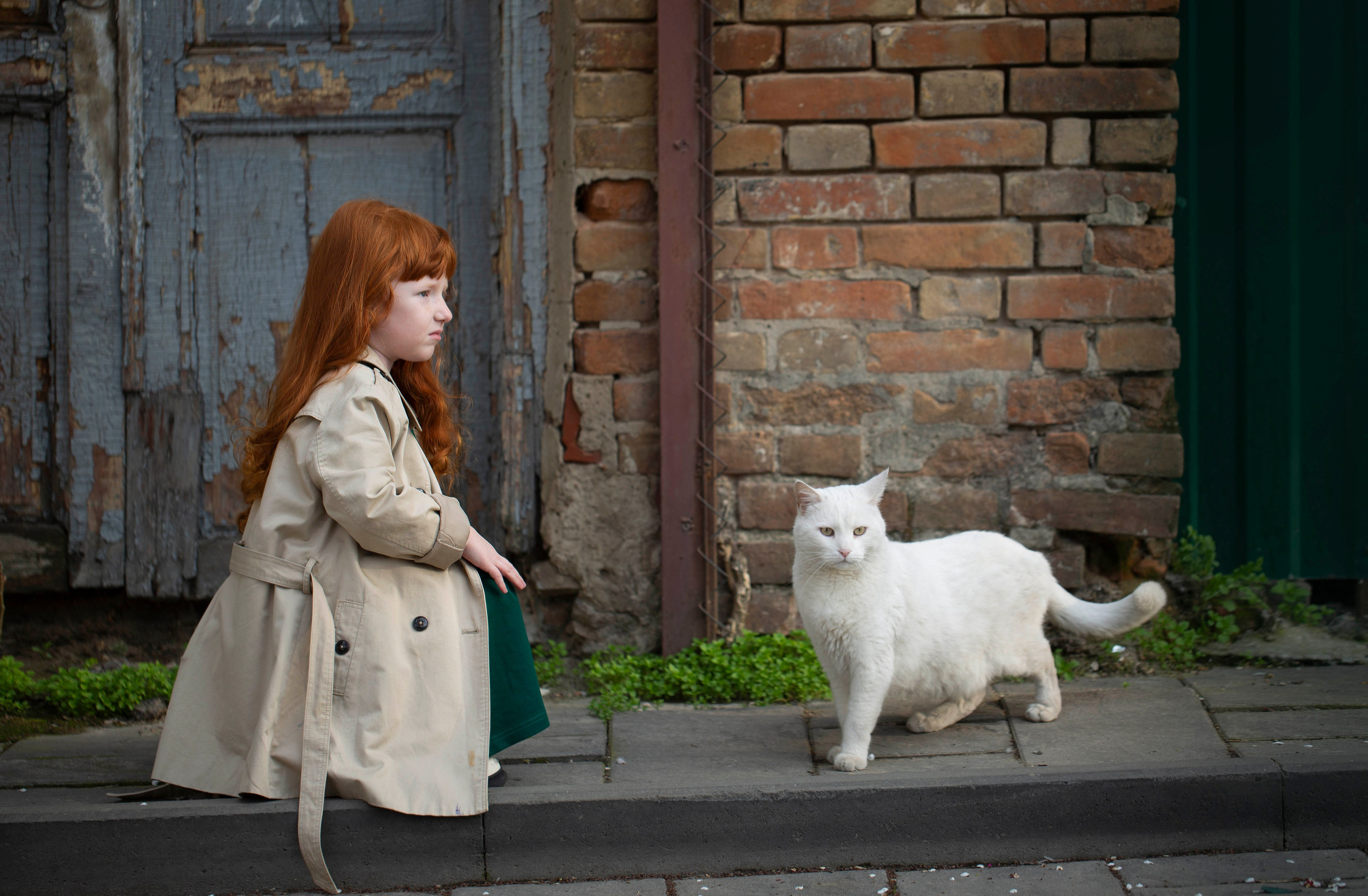 Сказочные проекты. Предметный и рекламный фотограф в Ростове-на-Дону Кристина Орлова