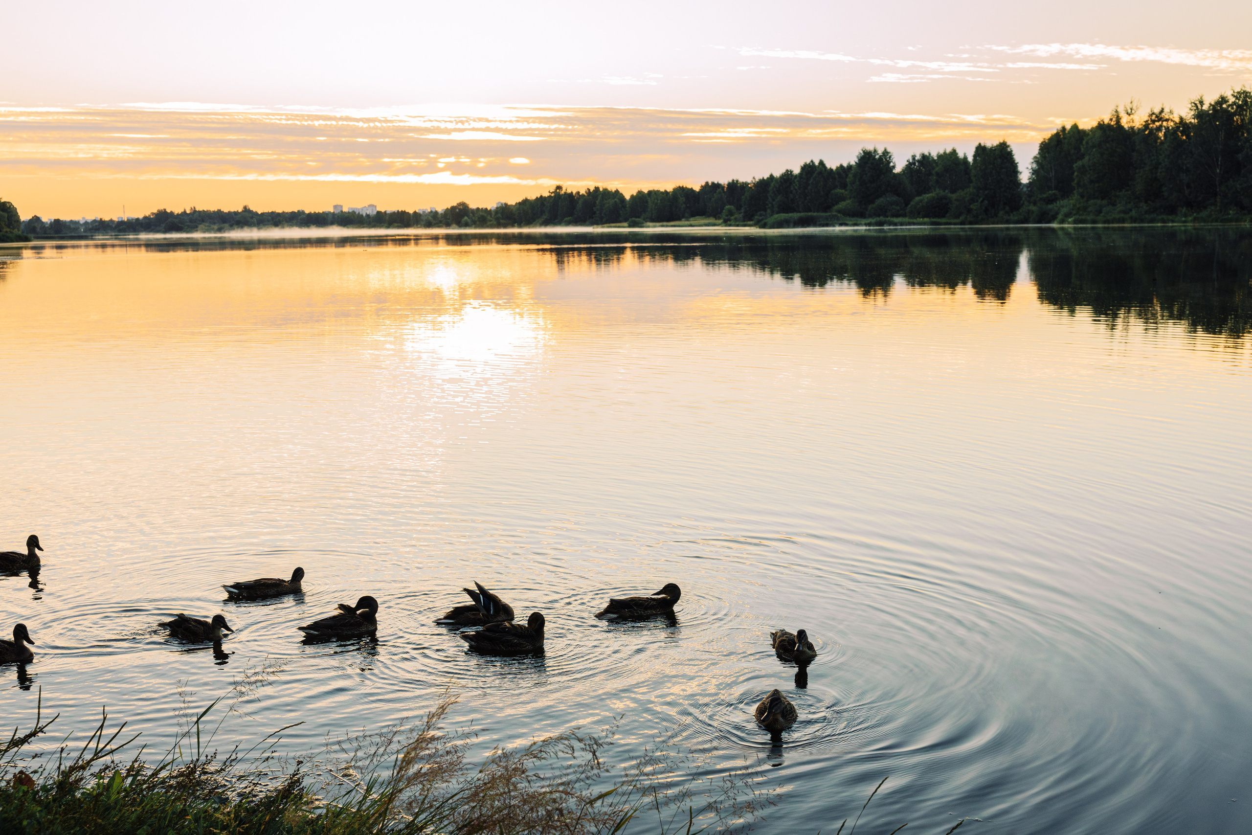 Женская фотосессия в Казани. Фотограф в Казани Ольга Яшина