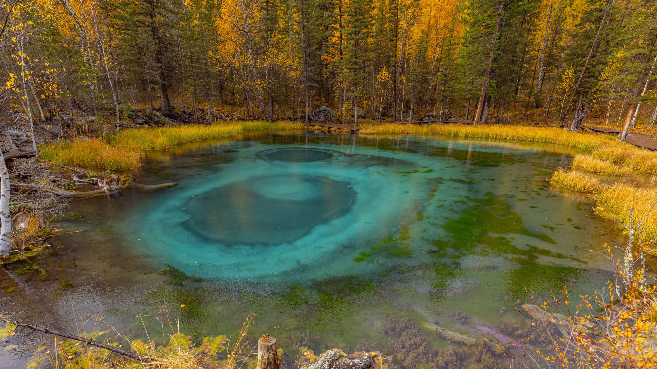 2025 09 Алтай. Чуйский тракт. Фотографии