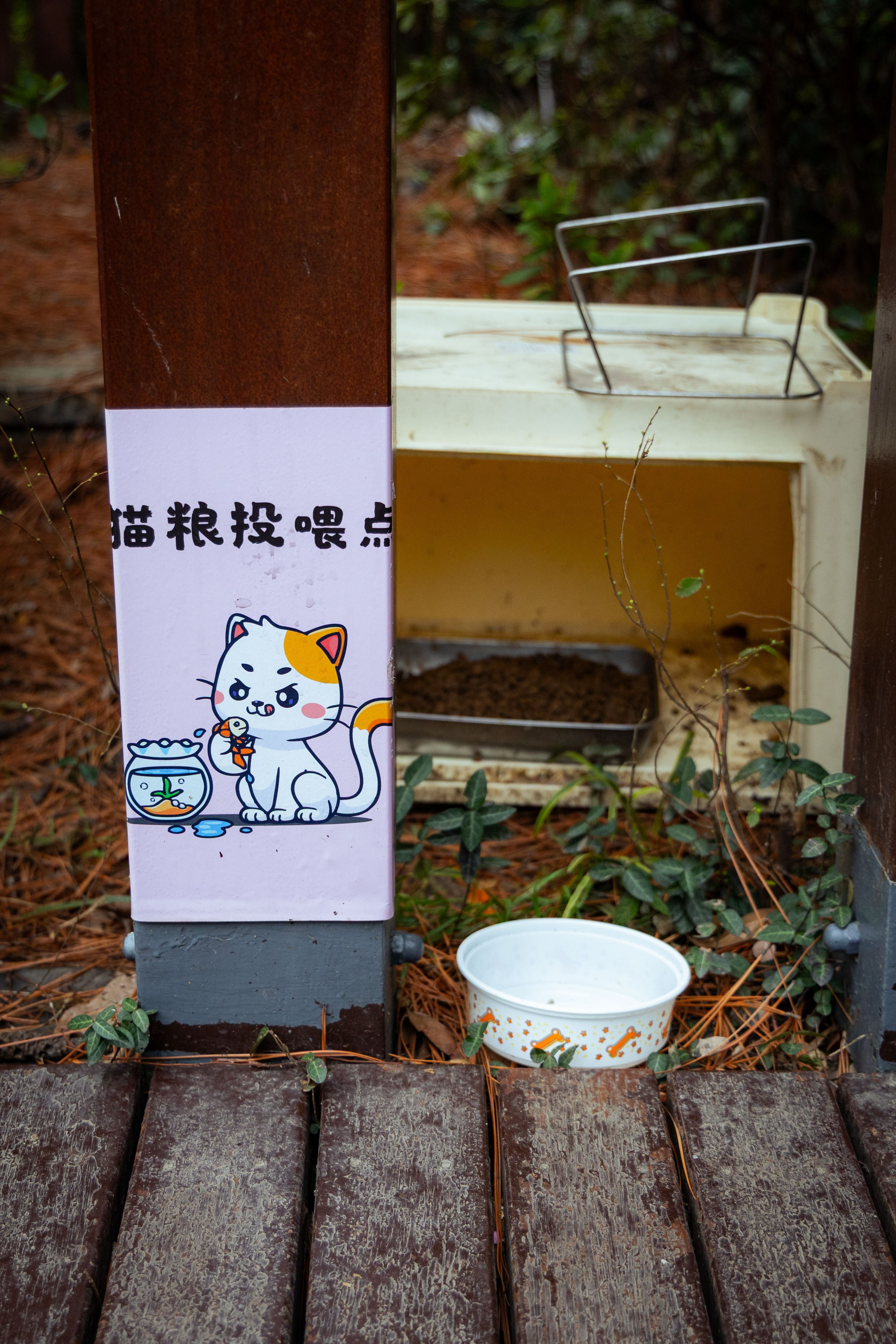 Шанхай (март 2026). Фотограф Виноградов Константин