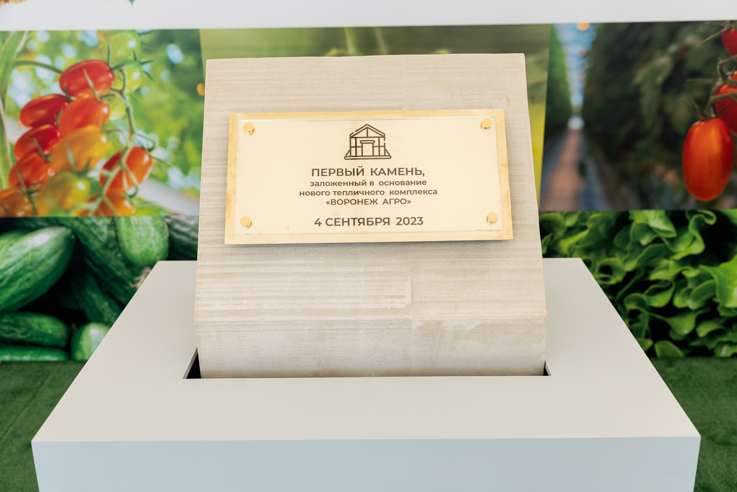 Воронеж Агро-Первый камень. Владислав Волков | Фотография и видеосъемка в Воронеже