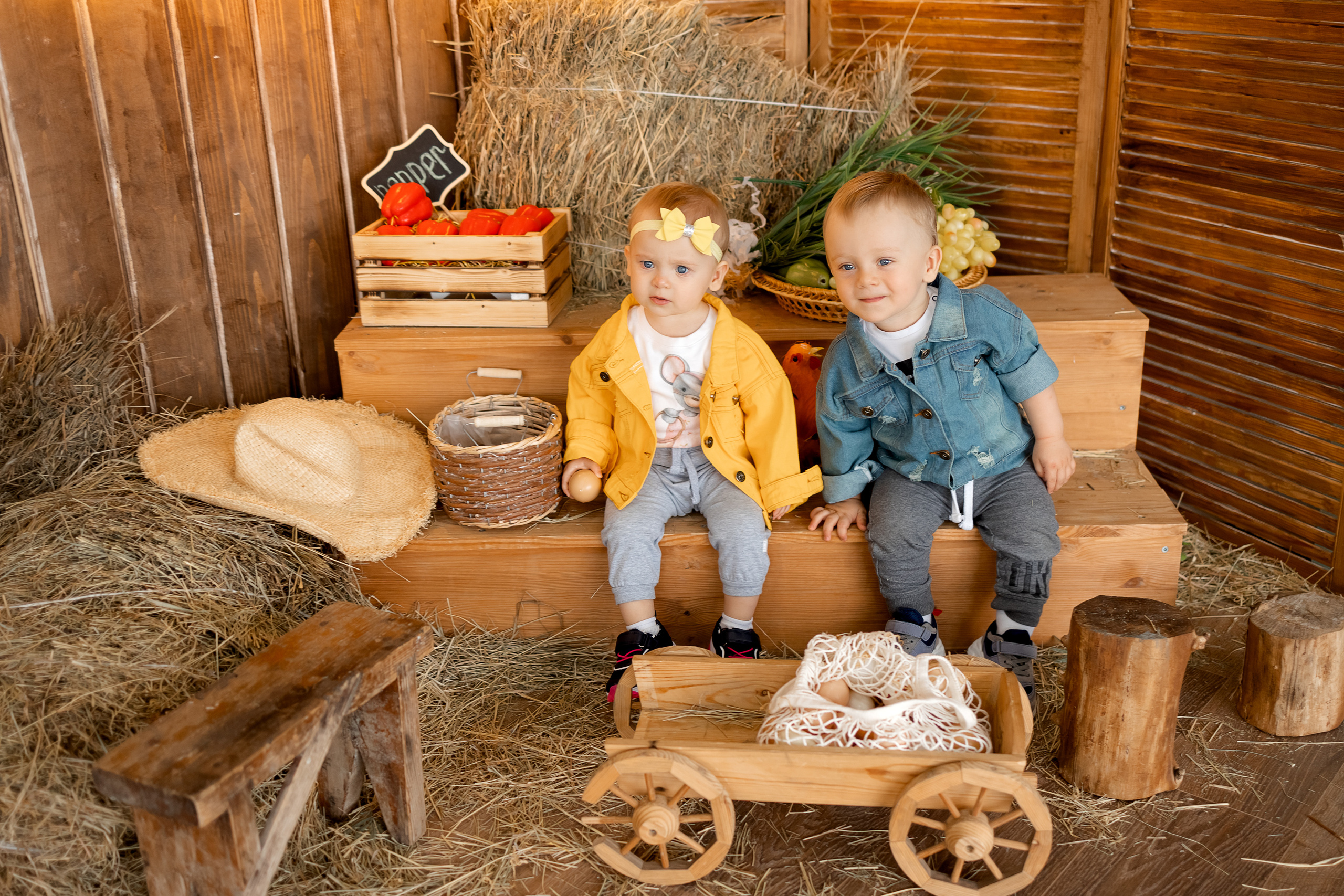 Двойня. Свадебный и семейный фотограф в Ростове-на-Дону Стадник Юлия