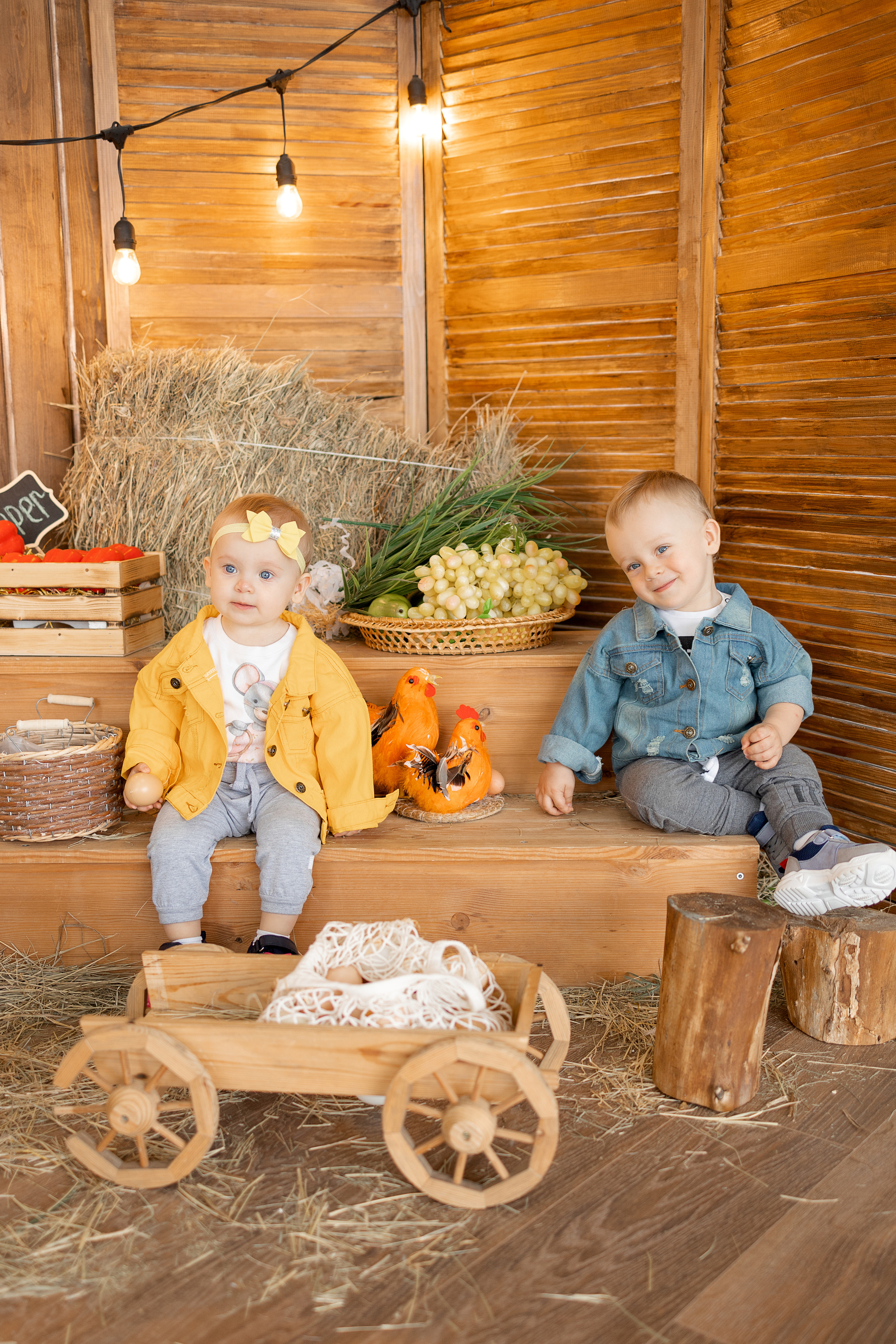 Двойня. Свадебный и семейный фотограф в Ростове-на-Дону Стадник Юлия