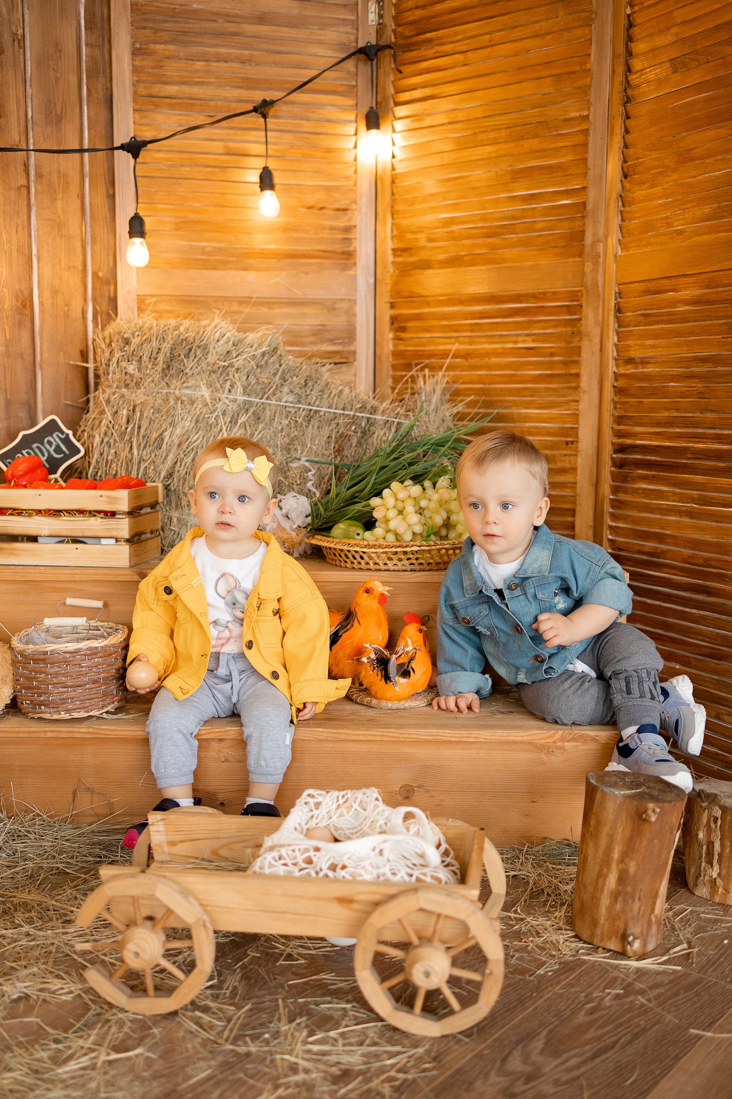 Двойня. Свадебный и семейный фотограф в Ростове-на-Дону Стадник Юлия