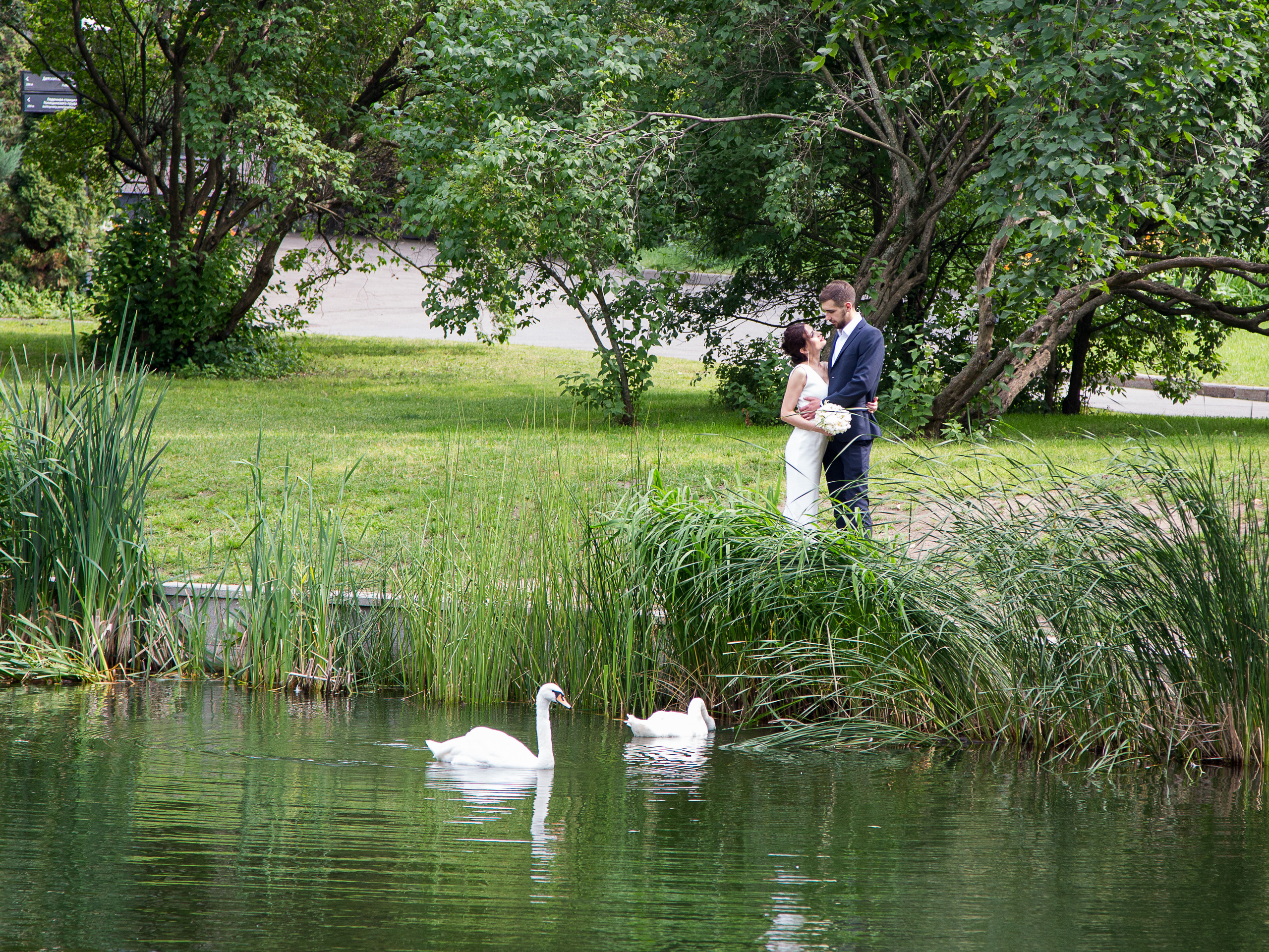 Кирилл & Елена. Фотограф Дроздова Анна