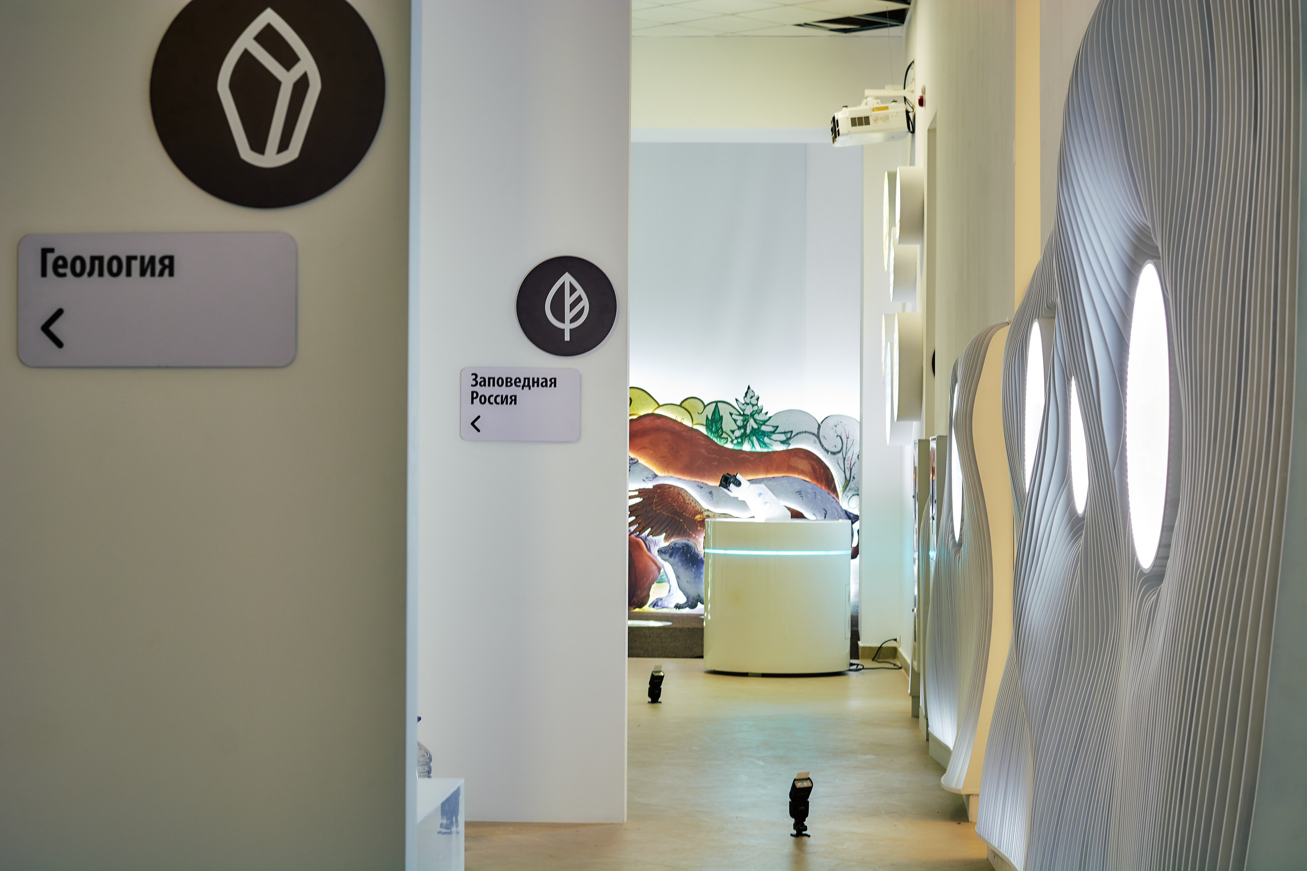 Интерьерная съемка Визит-центр Национальный парк «Кисловодский». Константин Кордонский | Интерьерный и food-фотограф в Кисловодске и КМВ