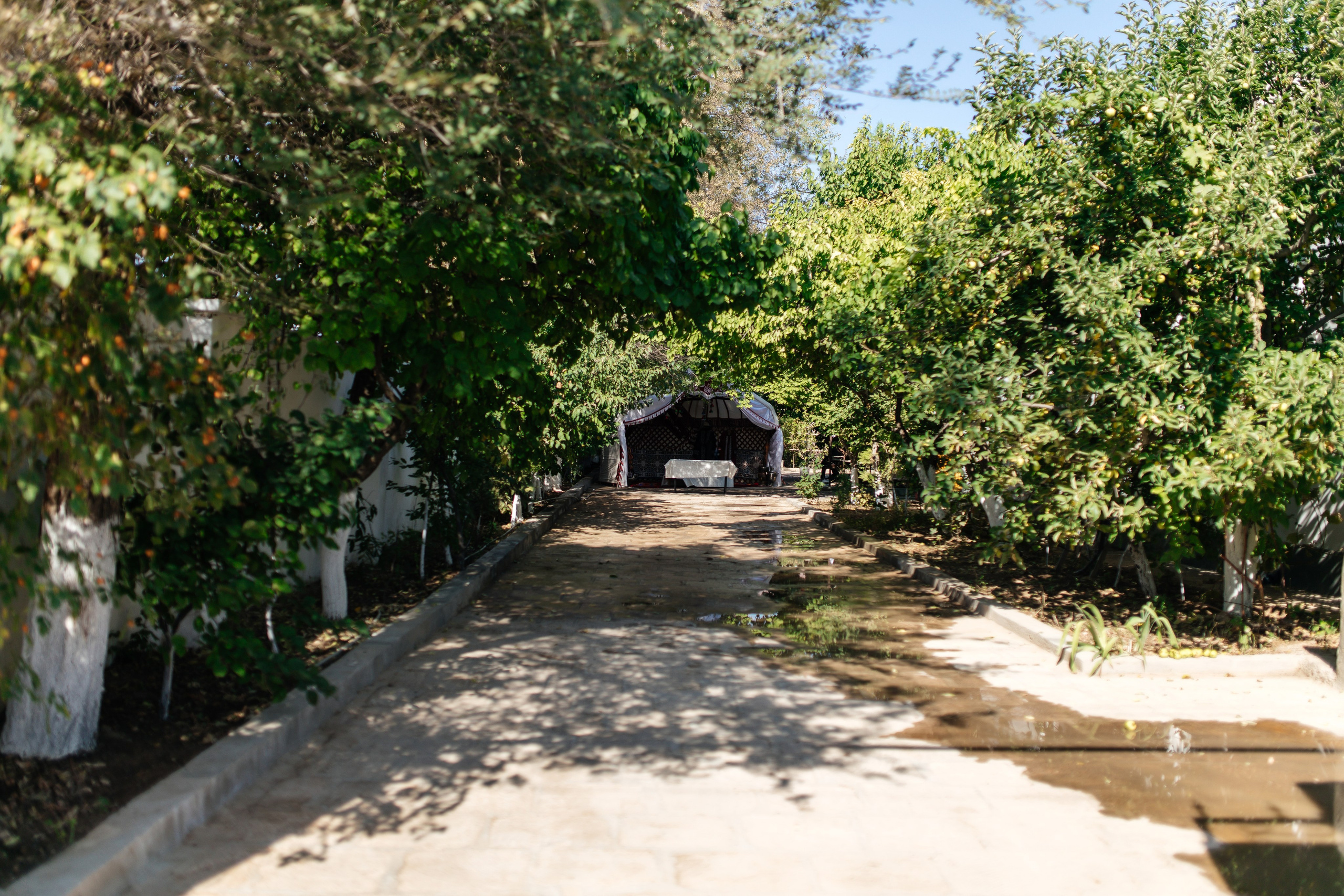 Aynur — syrğa salu. Wedding and Love story Photographer