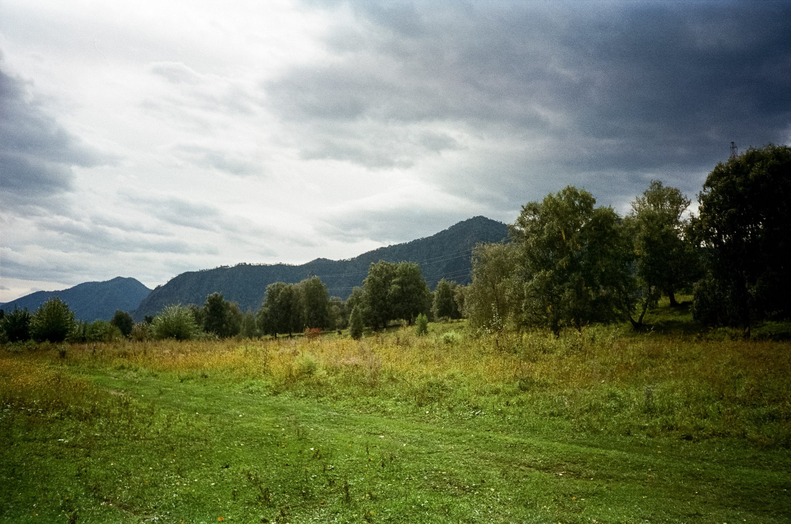 Зубы Дракона и солнечный подарок. Сад пионов. Фотограф-документалист Мария Осокина