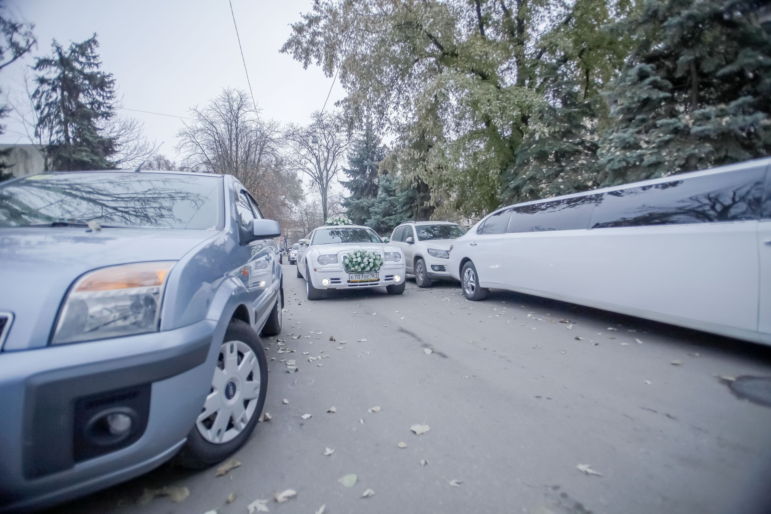 Регистрация/Register. Максим Матвийченко и Виктория Басова профессионалы своего дела