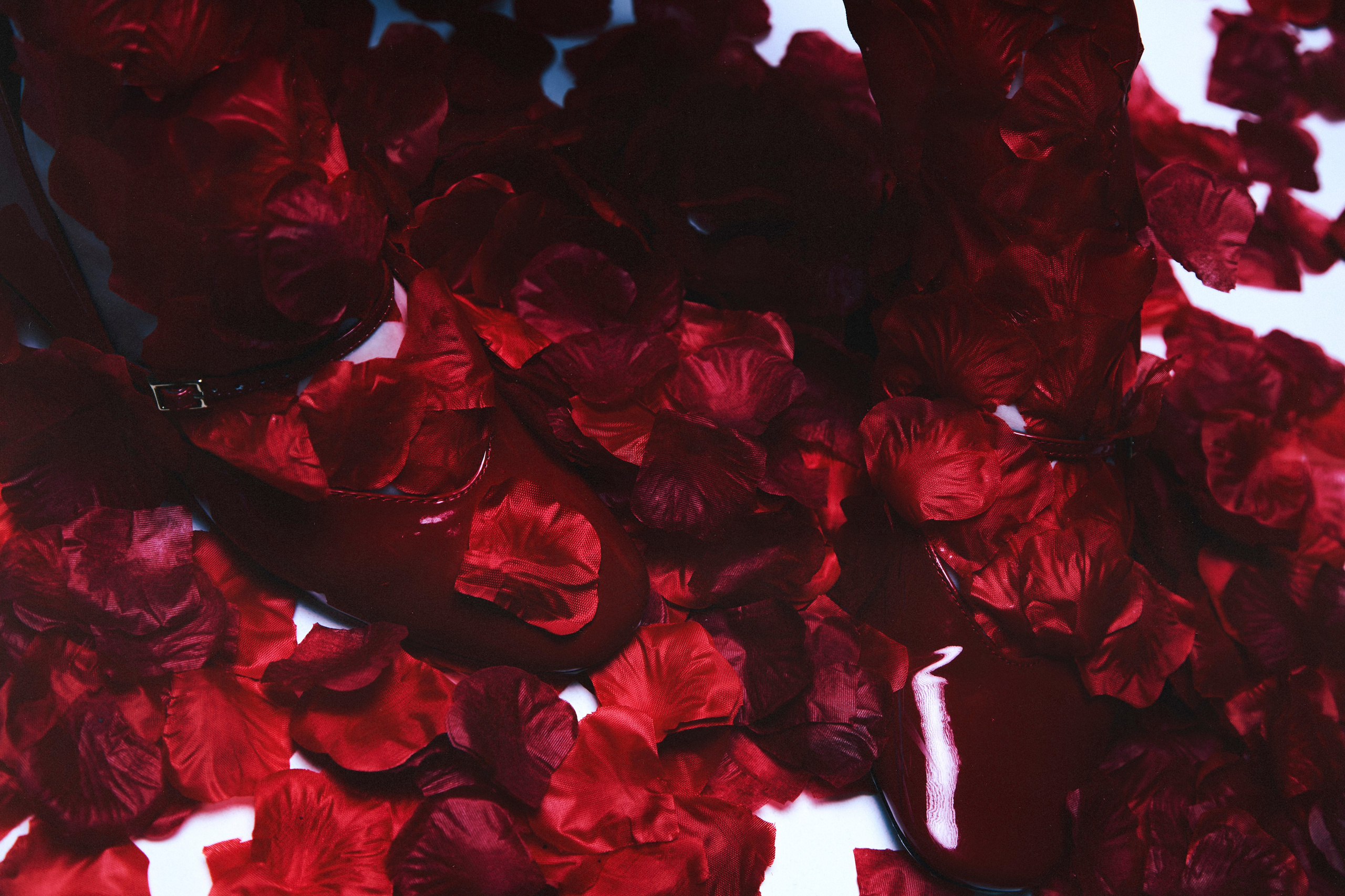 Valentines adventures. Arina Kharakhashian