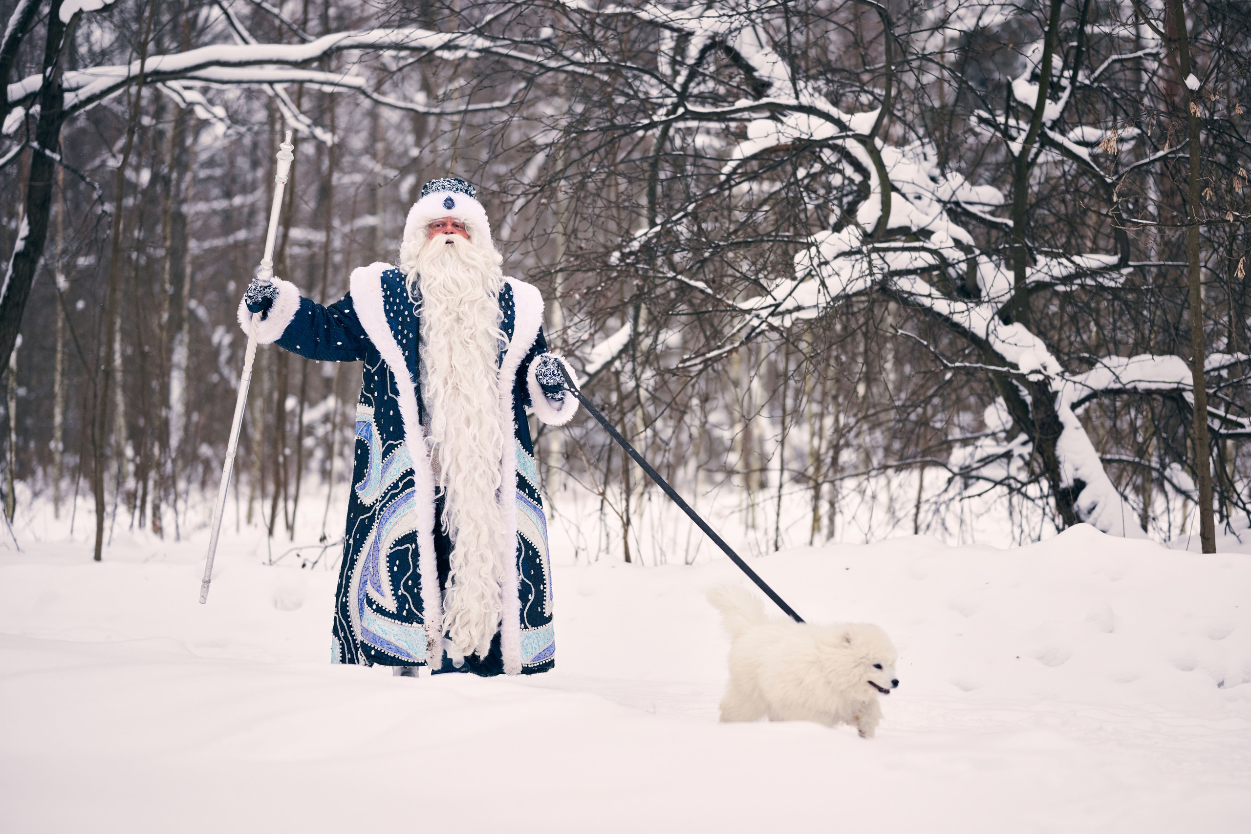 Дед Мороз с Платоном. Никита Хохловский фото и видео продакшн
