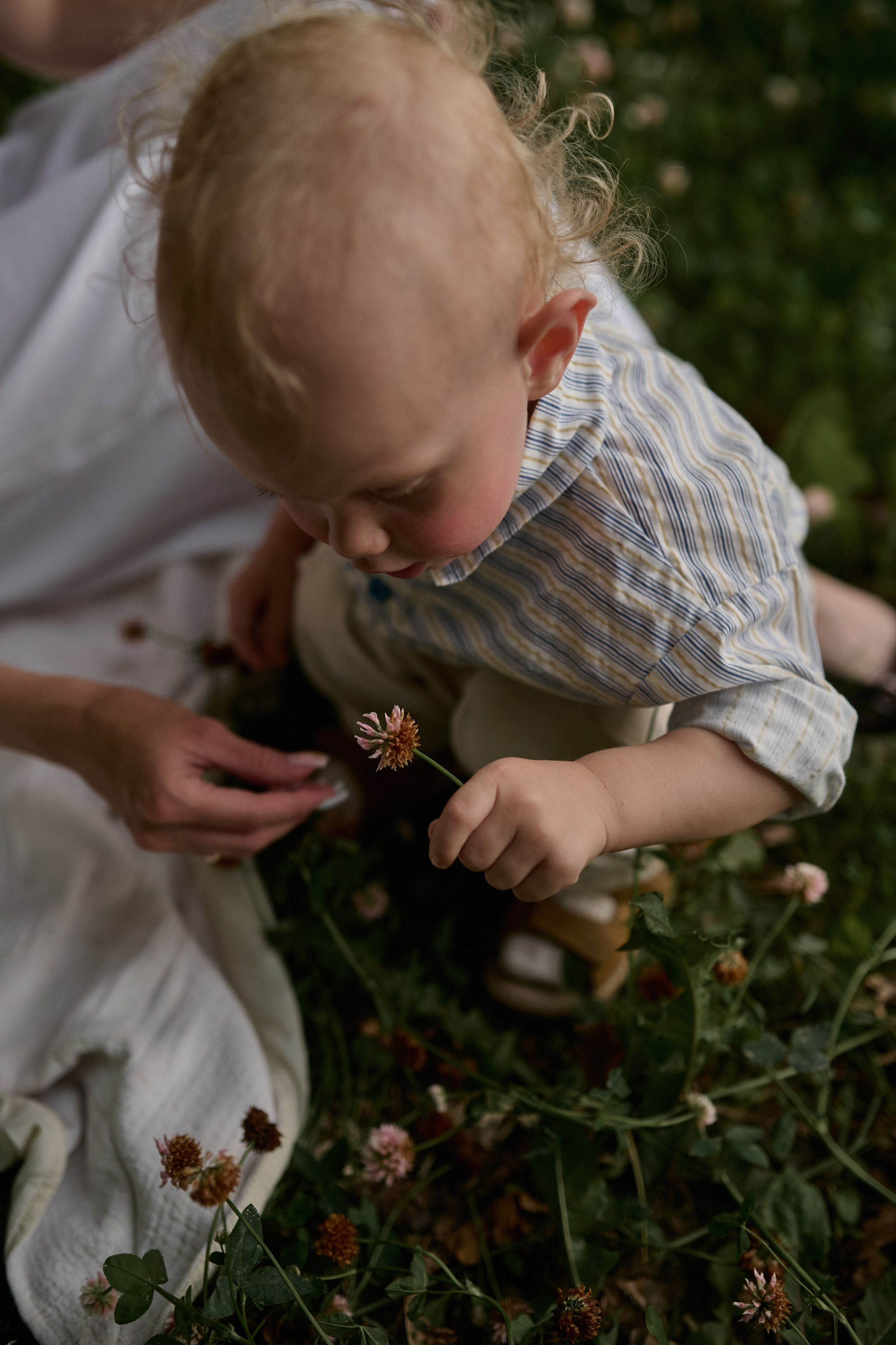 Сима и Яннис. Семейный и свадебный lifestyle-фотограф в Москве Мария Петрова