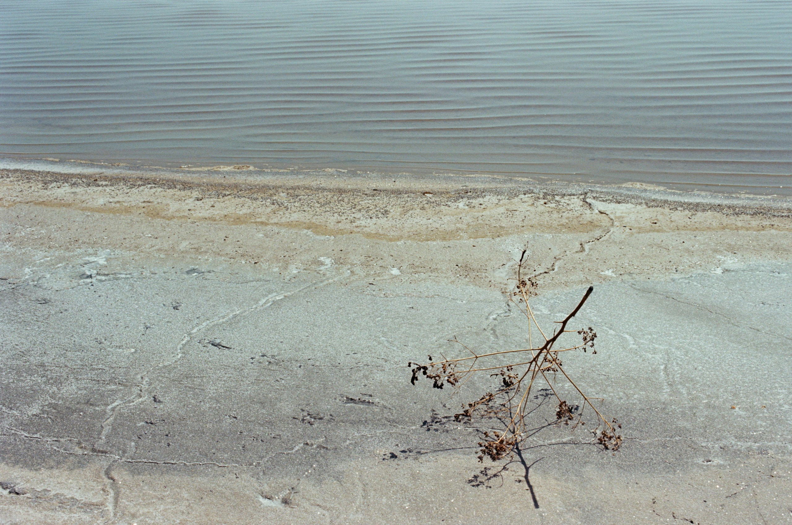 Dig it // ukraine, crimea IX. EVER EXPOSED