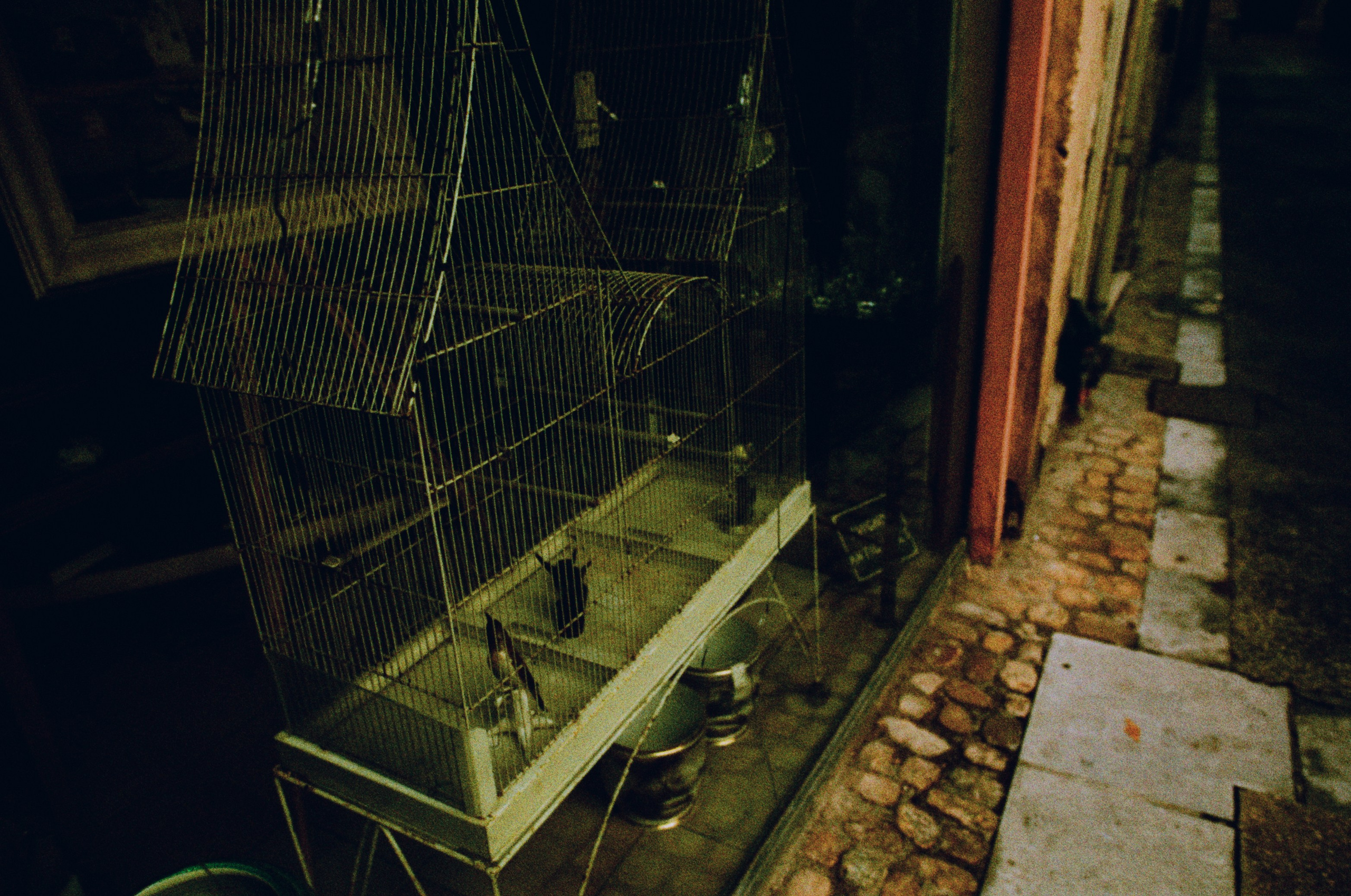 The contract // france, avignon II. EVER EXPOSED