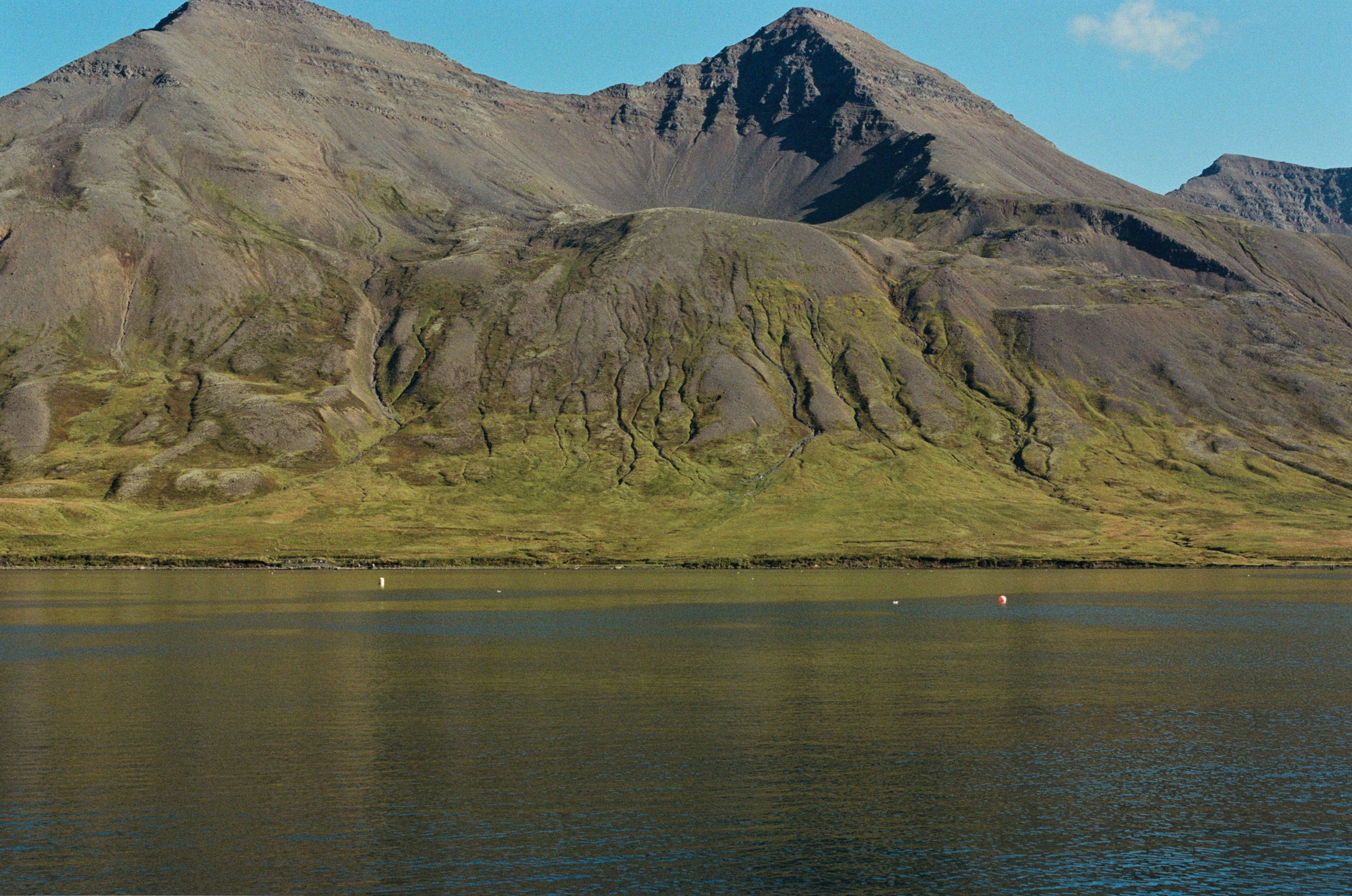 Vor i vaglaskogi // iceland, 82. EVER EXPOSED