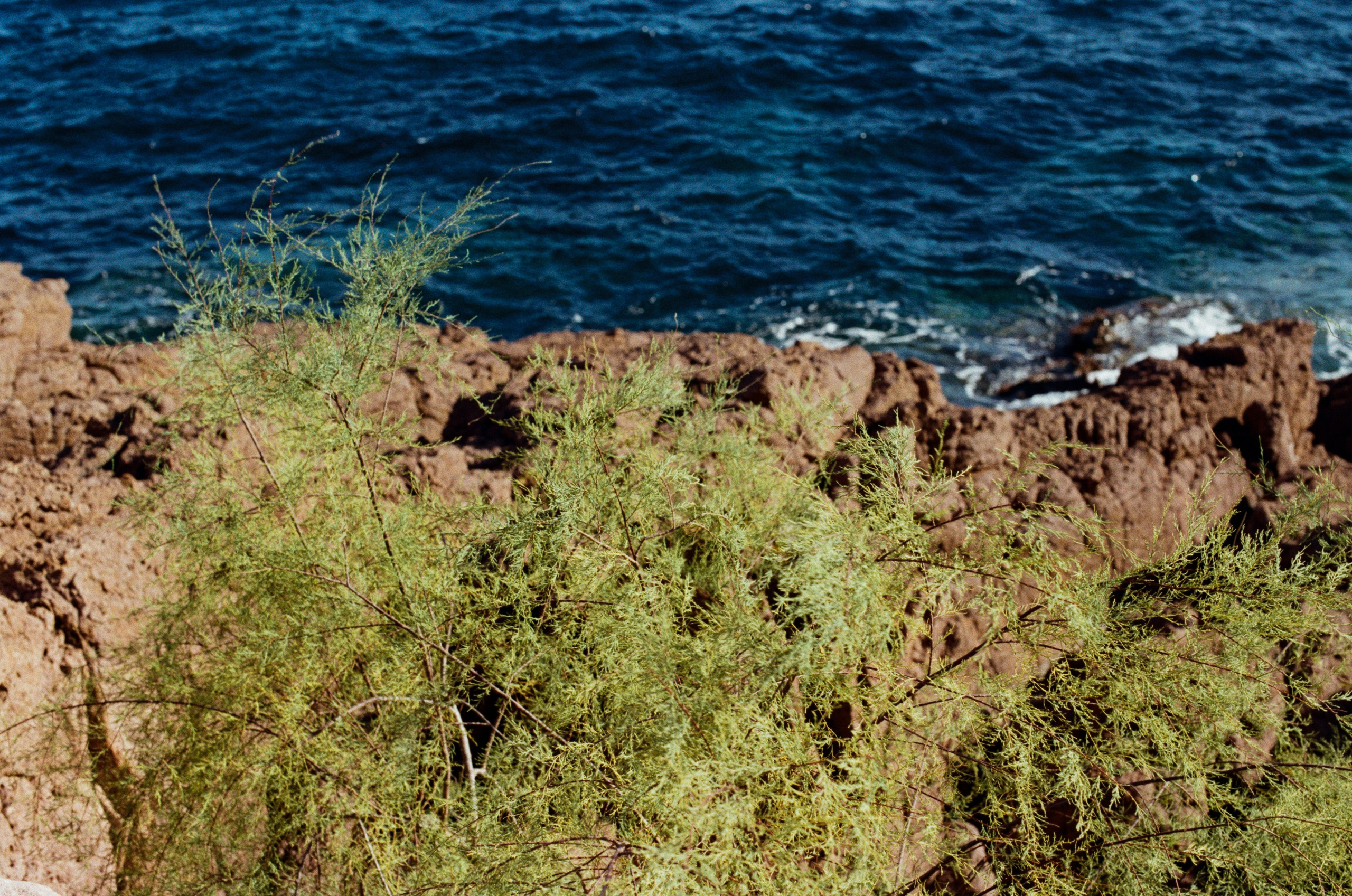 The contract // france, cote d'azur. EVER EXPOSED