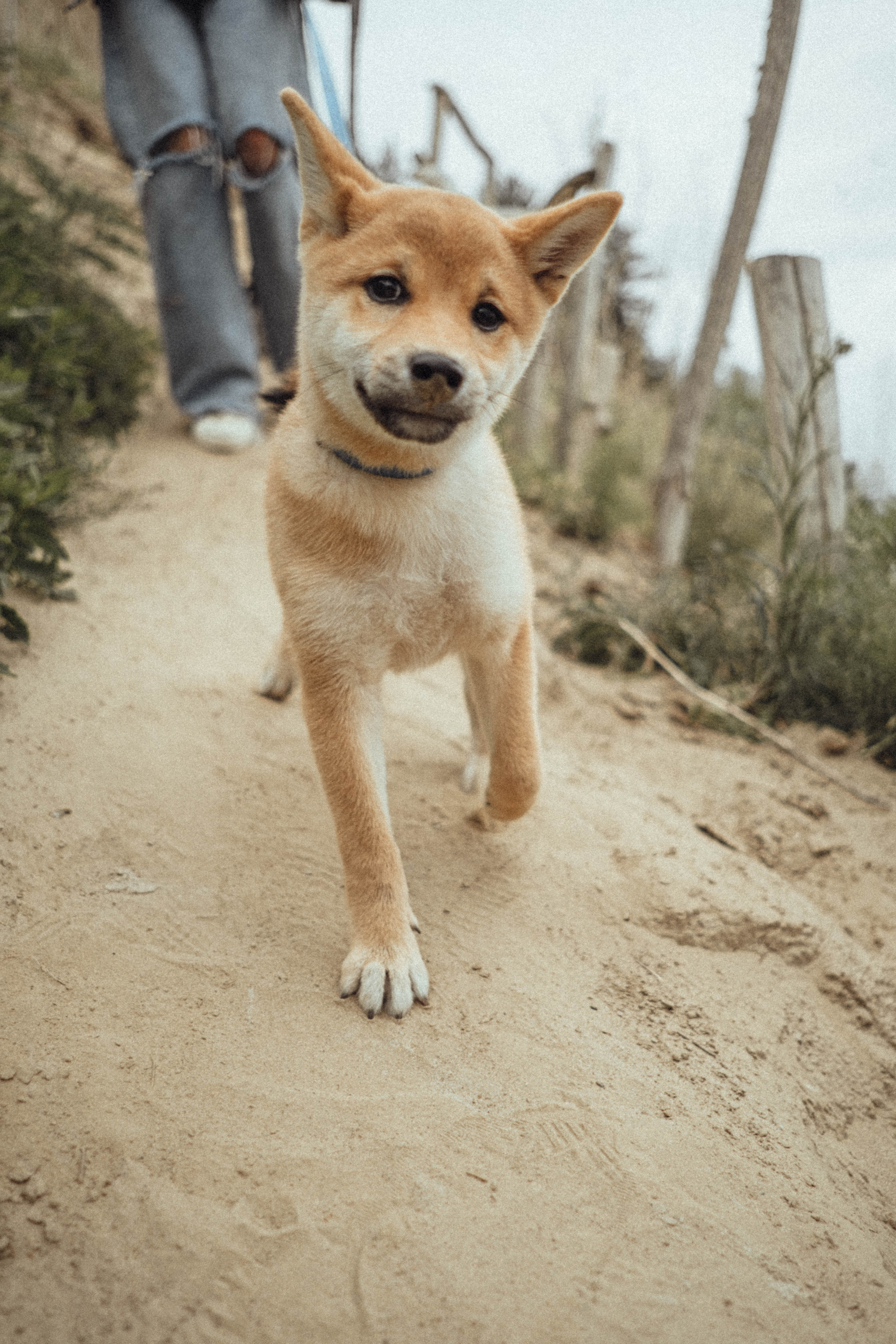 Лера Андрей Кейк. Фотограф Новосибирск Баранова Юлия