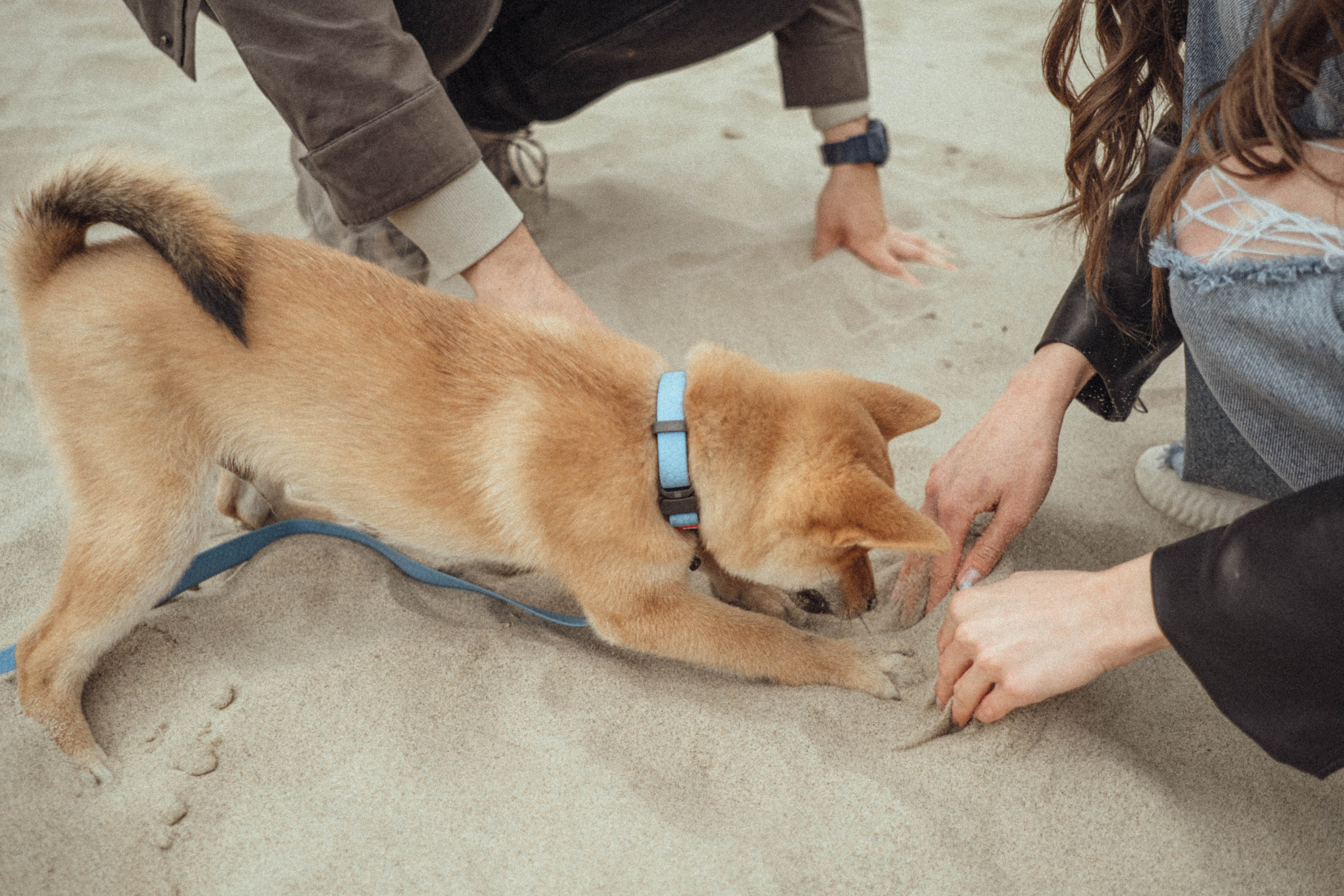 Лера Андрей Кейк. Фотограф Новосибирск Баранова Юлия