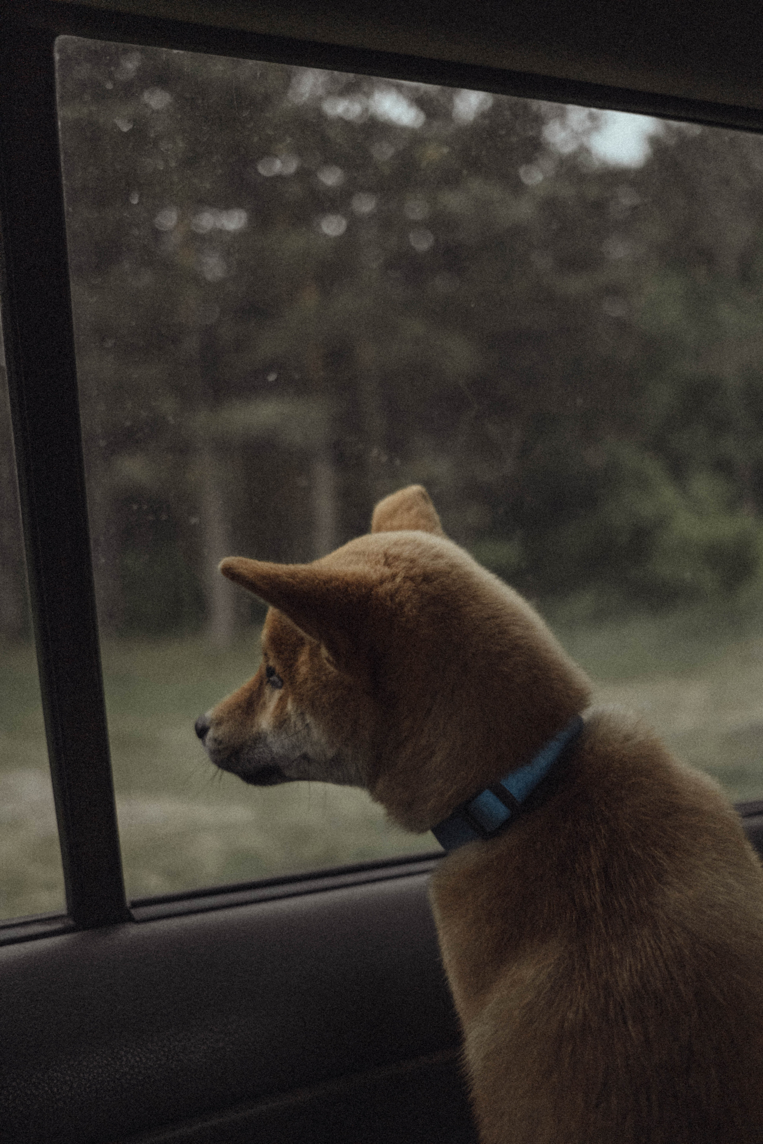 Лера Андрей Кейк. Фотограф Новосибирск Баранова Юлия