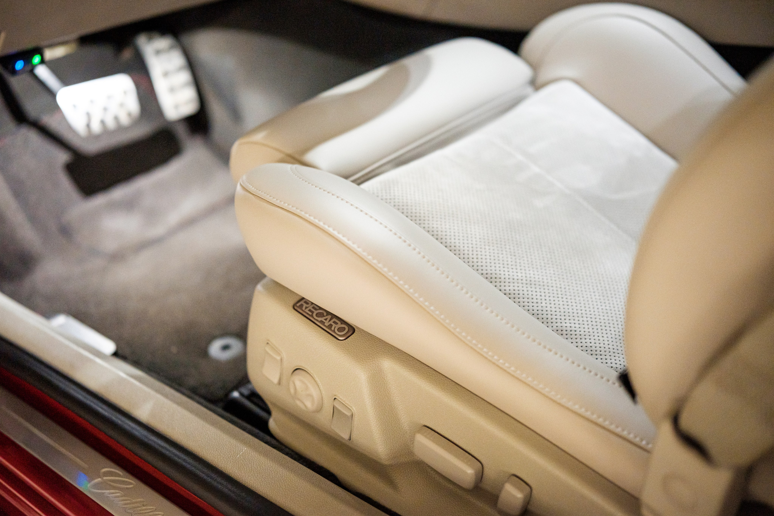 Кэдди. Алексей Никифоров фотограф Москва, Химки