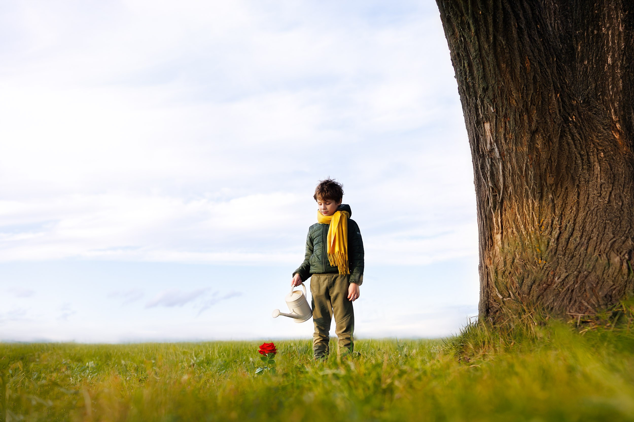 Фотосессия Маленький Принц. Фотограф-анималист в Москве и Московской области Татьяна Фролова
