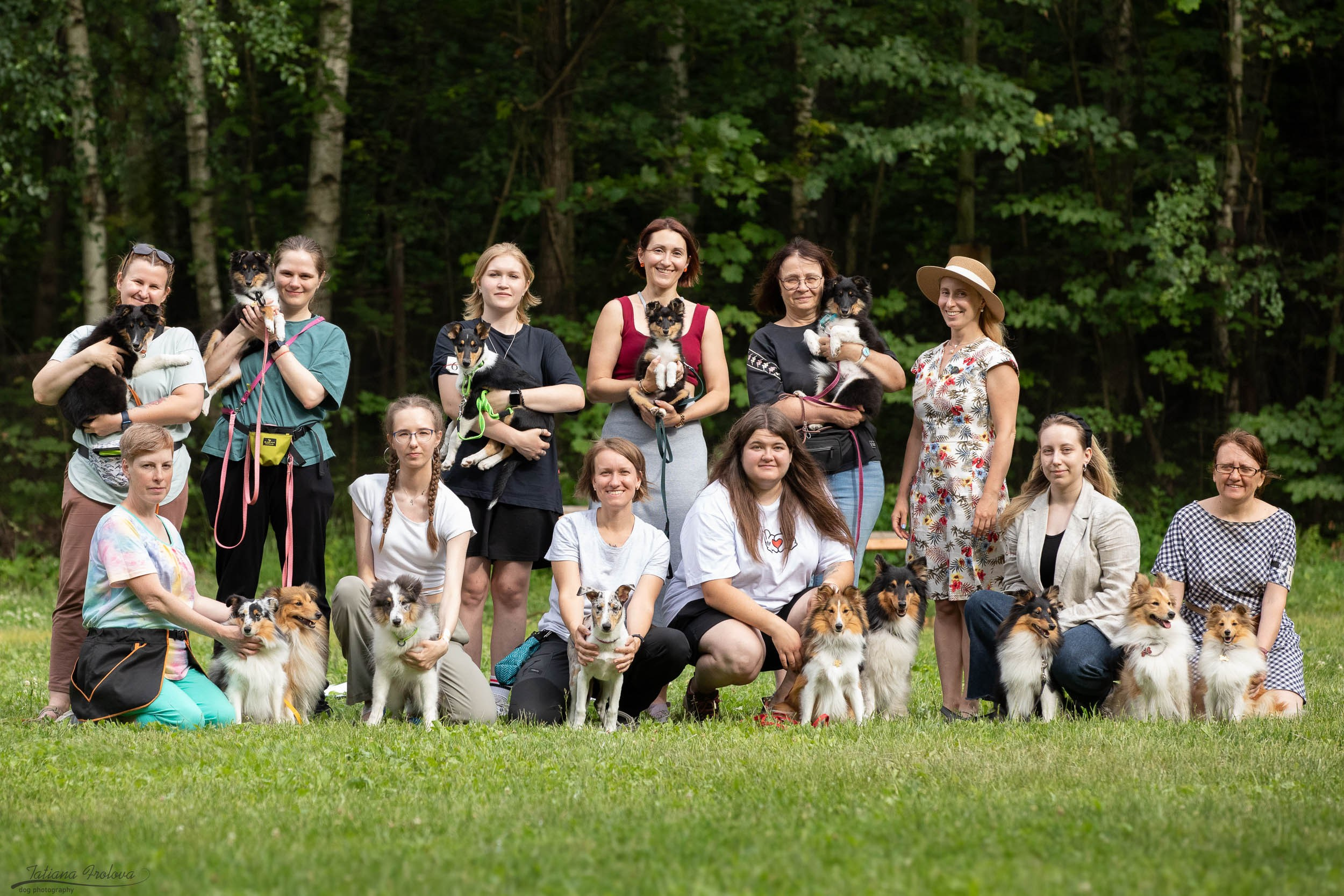 Репортаж с выводки молодняка колли/шелти в Ясенево. Фотограф-анималист в Москве и Московской области Татьяна Фролова