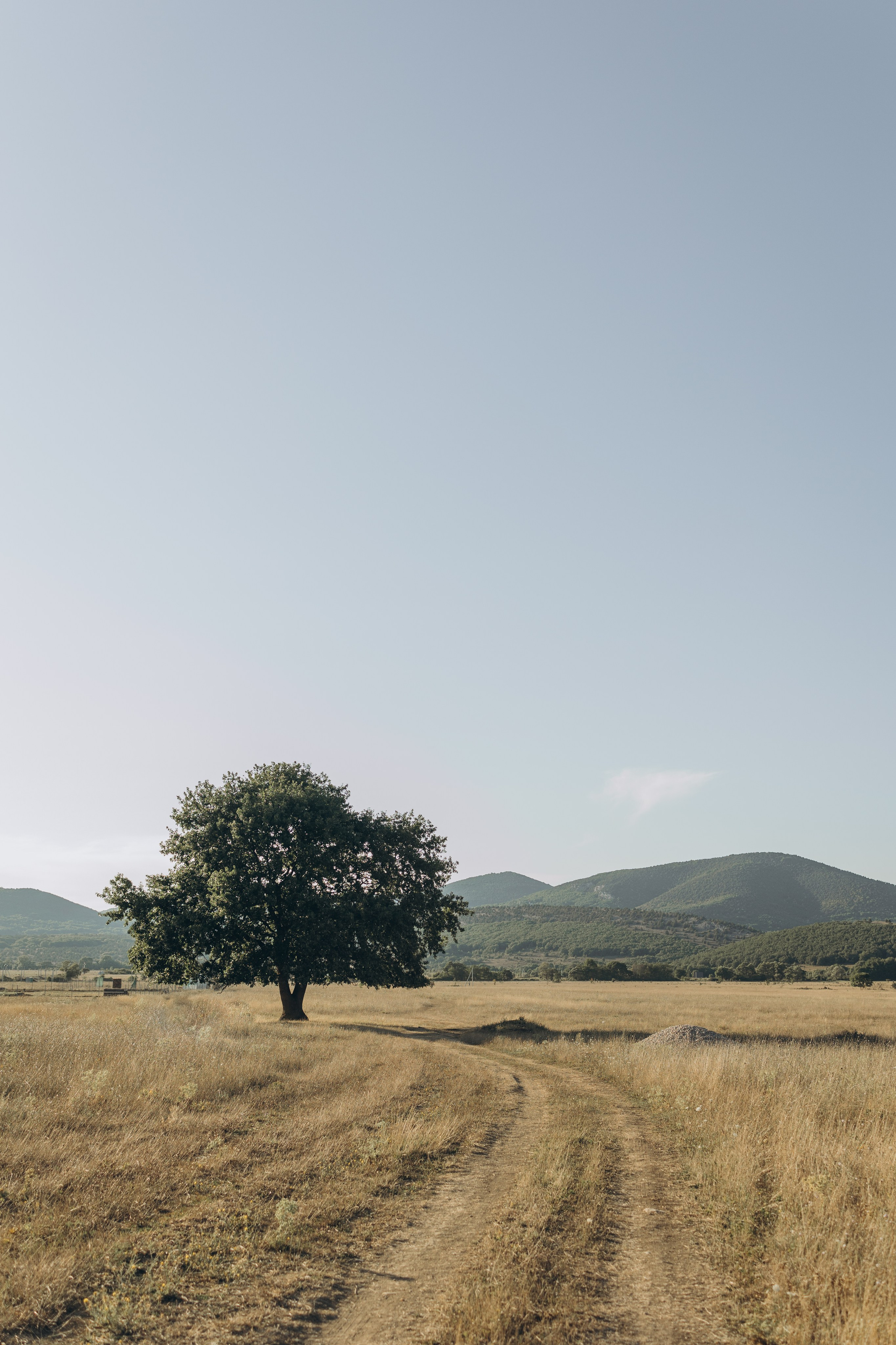 Катя, Андрей и Илья. Семейный фотограф в Москве Виктория Ястребинская