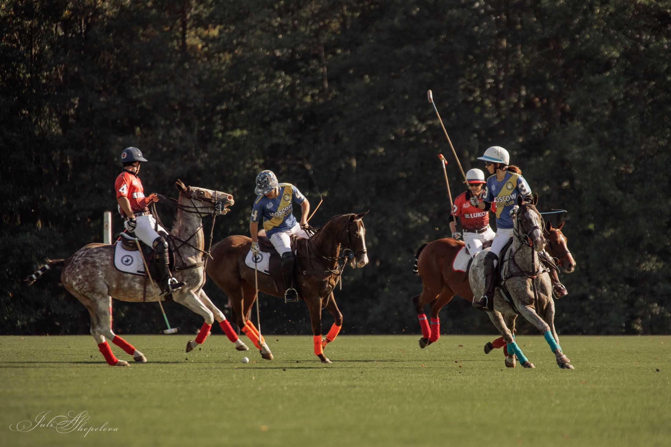 Осенний кубок по конному поло. Детская Конная фотография в Москве Юлия Шепелева